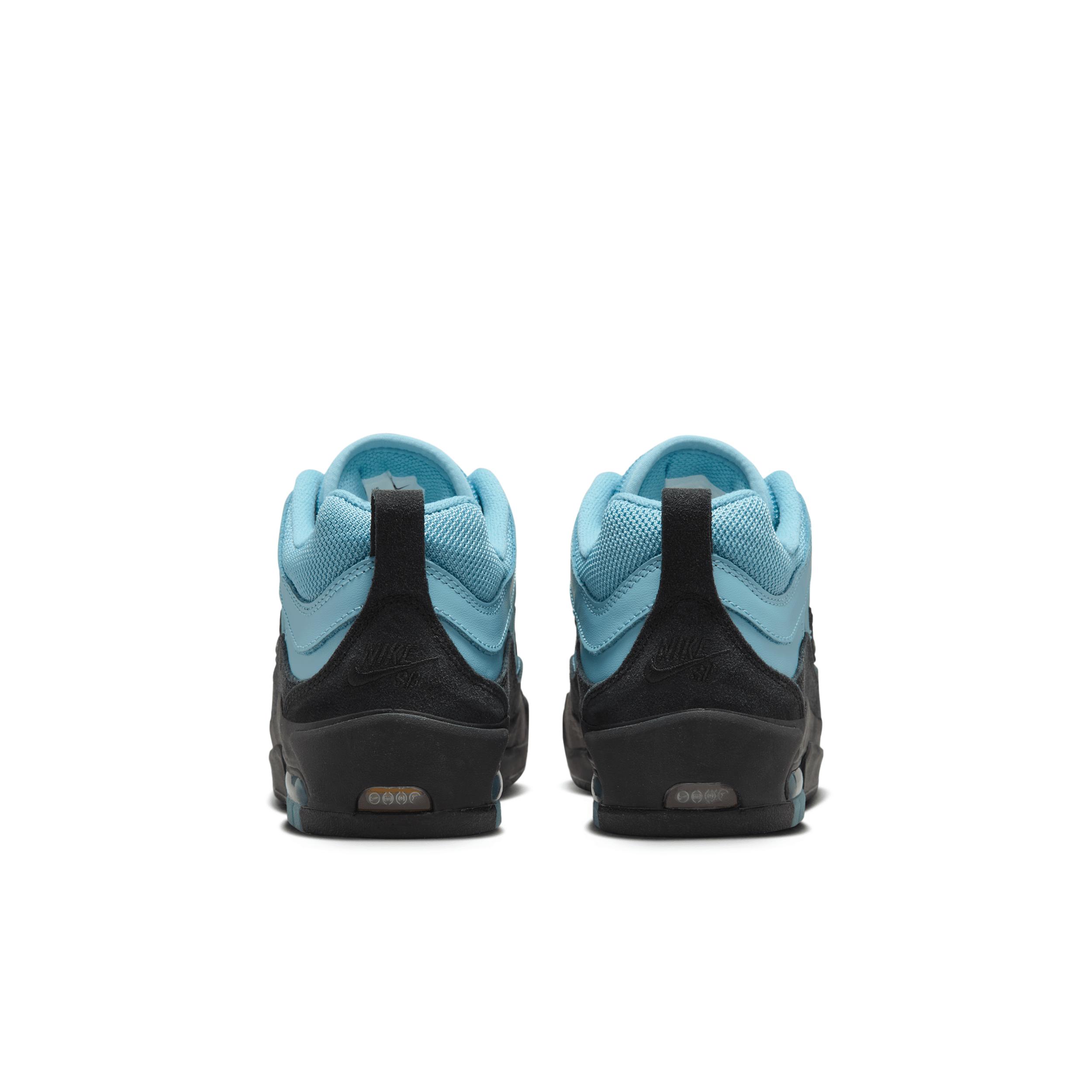 Nike Air Max Ishod Skate Shoes Product Image