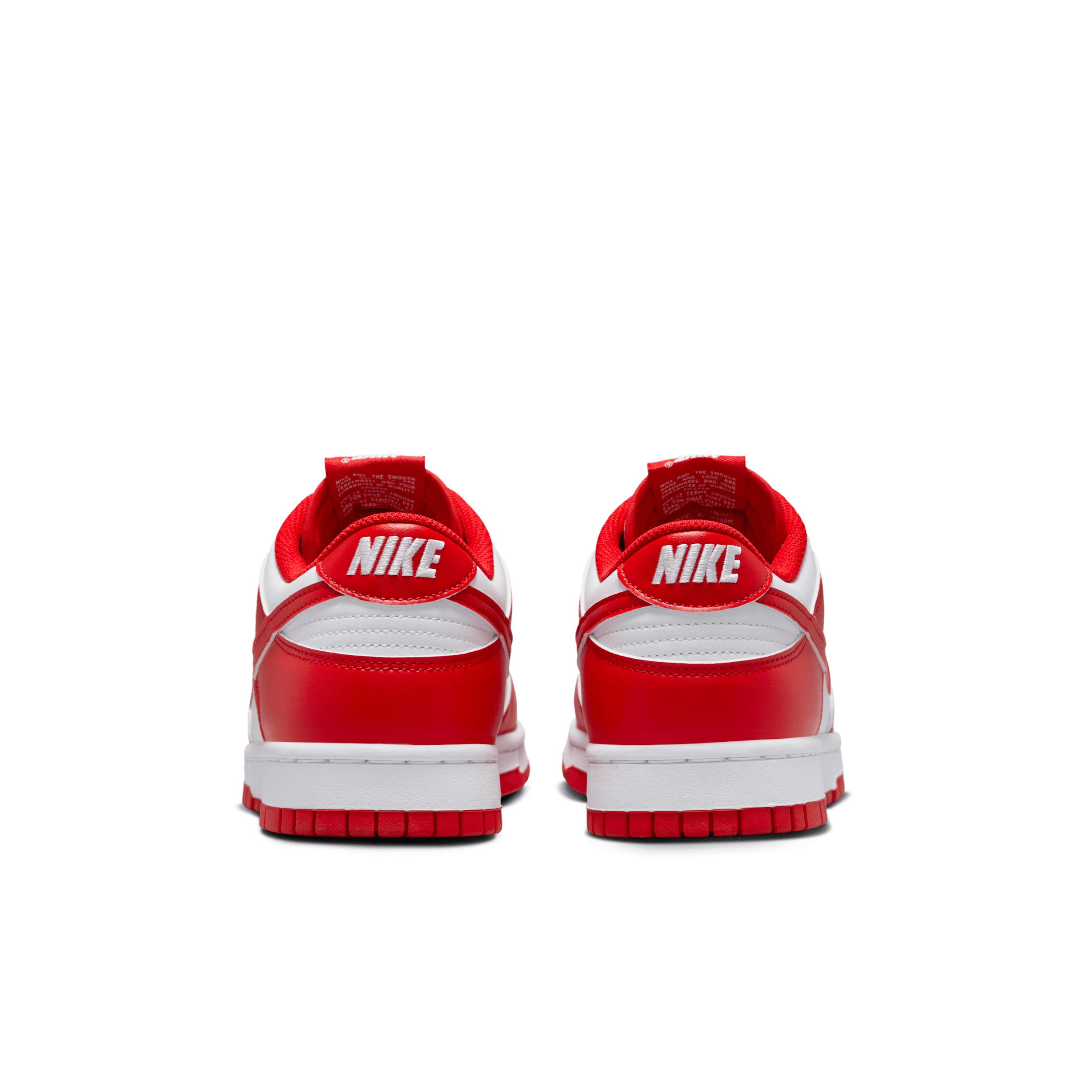 Nike Mens Dunk Low Retro Shoes | HF5441-104 Product Image