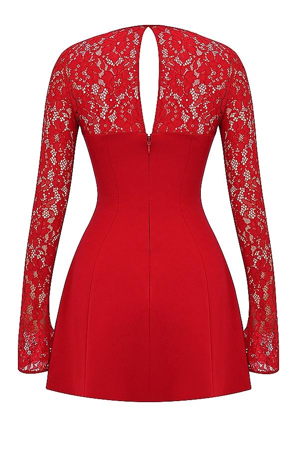 Jennica  red rose satin and lace mini dress Product Image