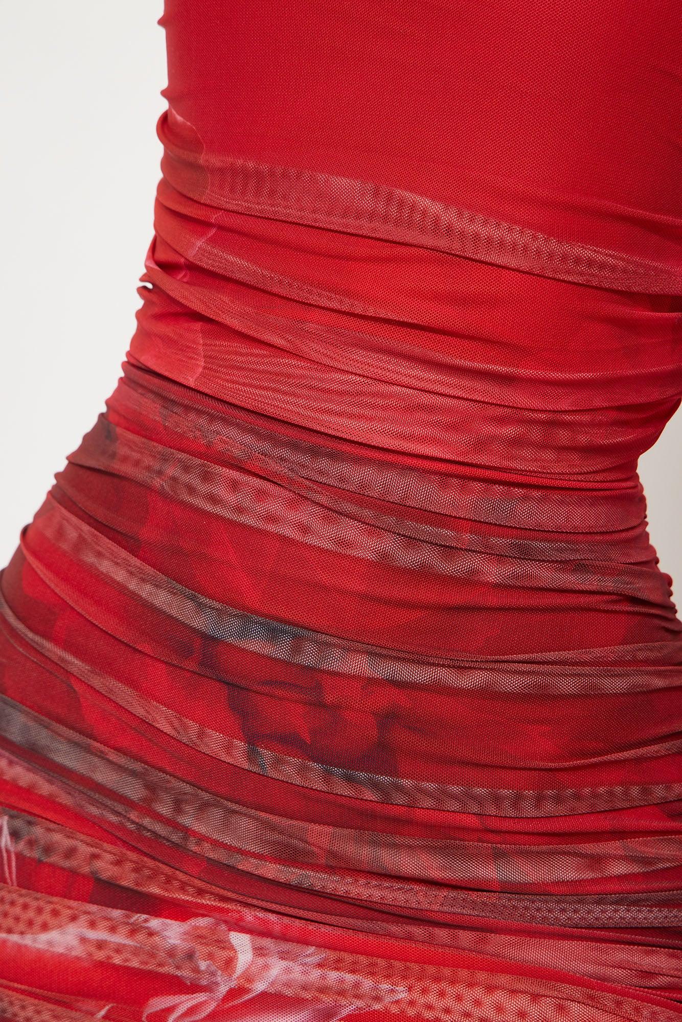 Mariana Floral Mesh Maxi Dress - Red/combo Female Product Image