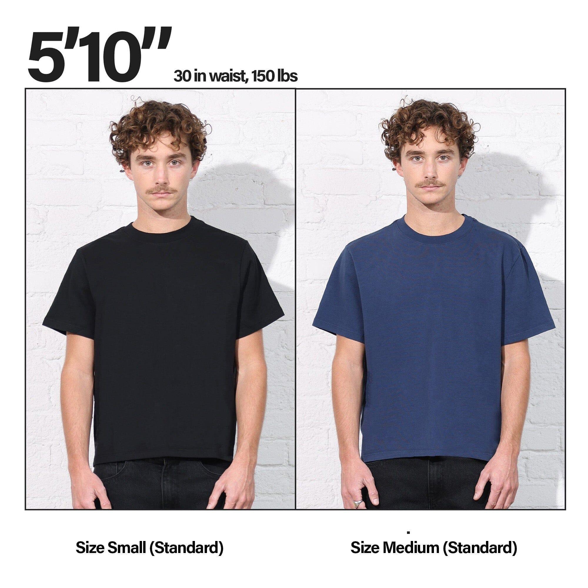 Silverlake Crop Tee II Product Image