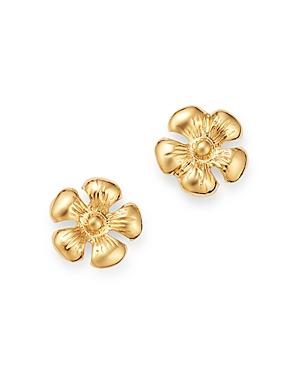 Moon & Meadow Daisy Stud Earrings in 14K Yellow Gold Product Image