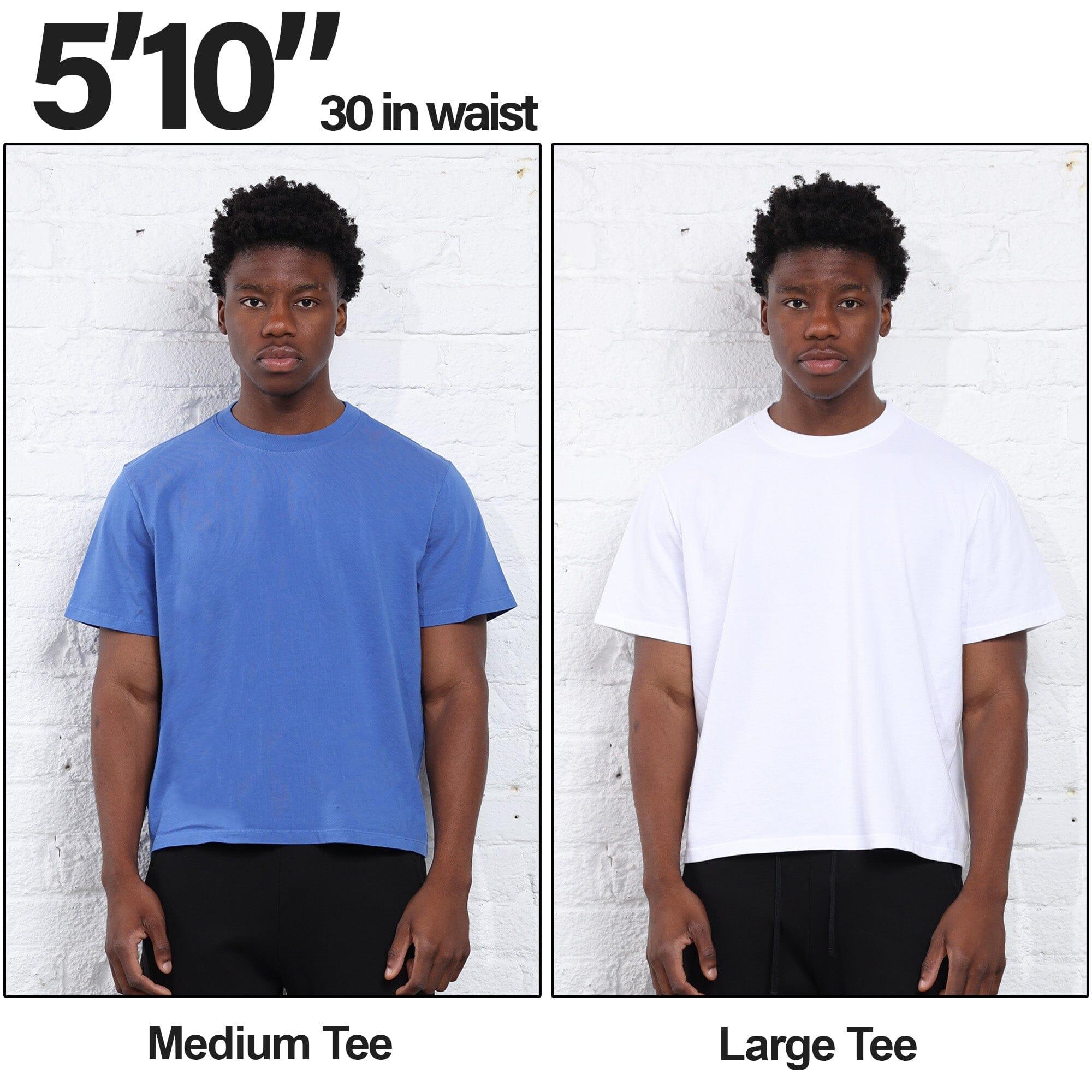 Silverlake Crop Tee II Product Image