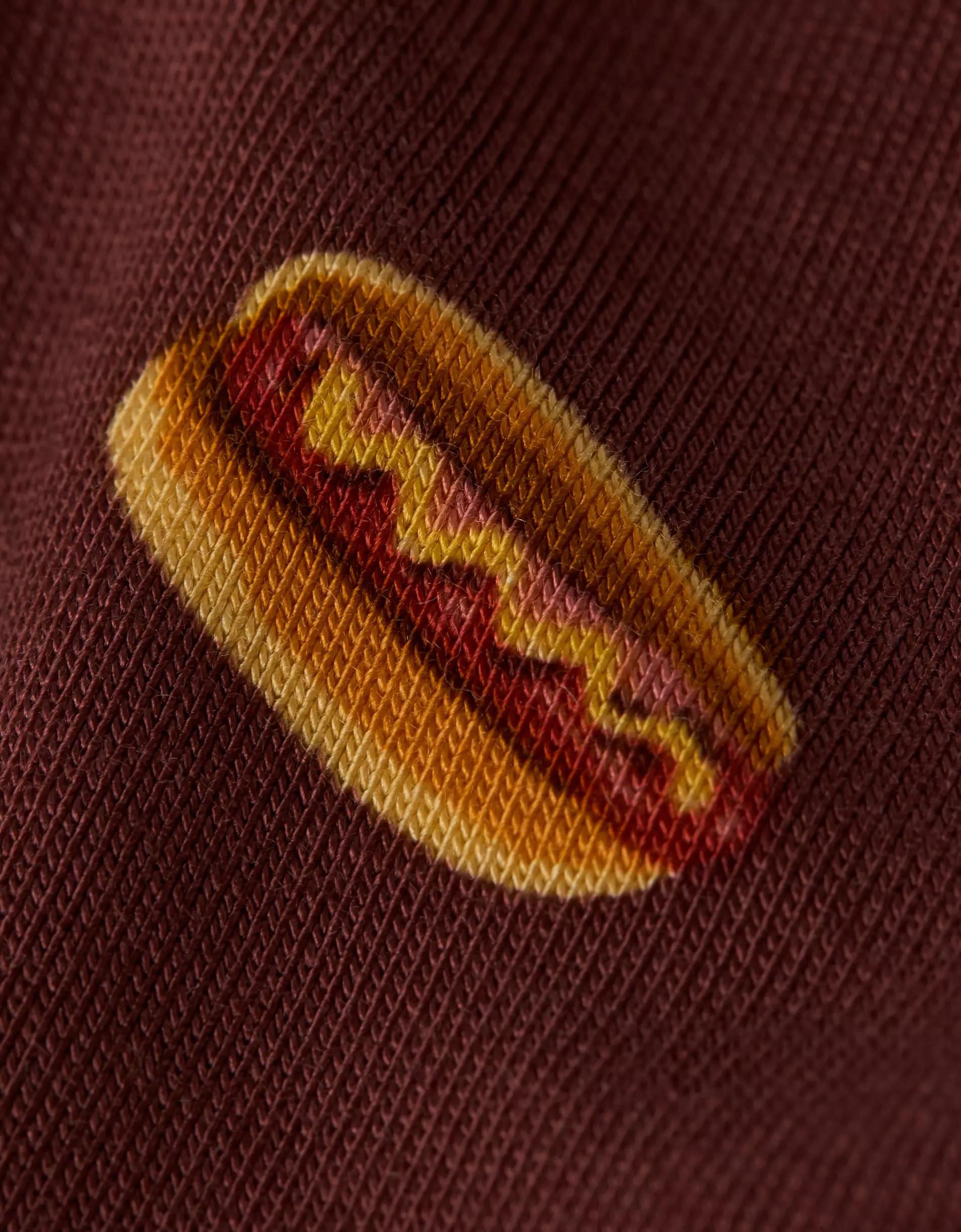 AEO Men's Bandana 4.5" Ultra Soft Boxer Brief Product Image