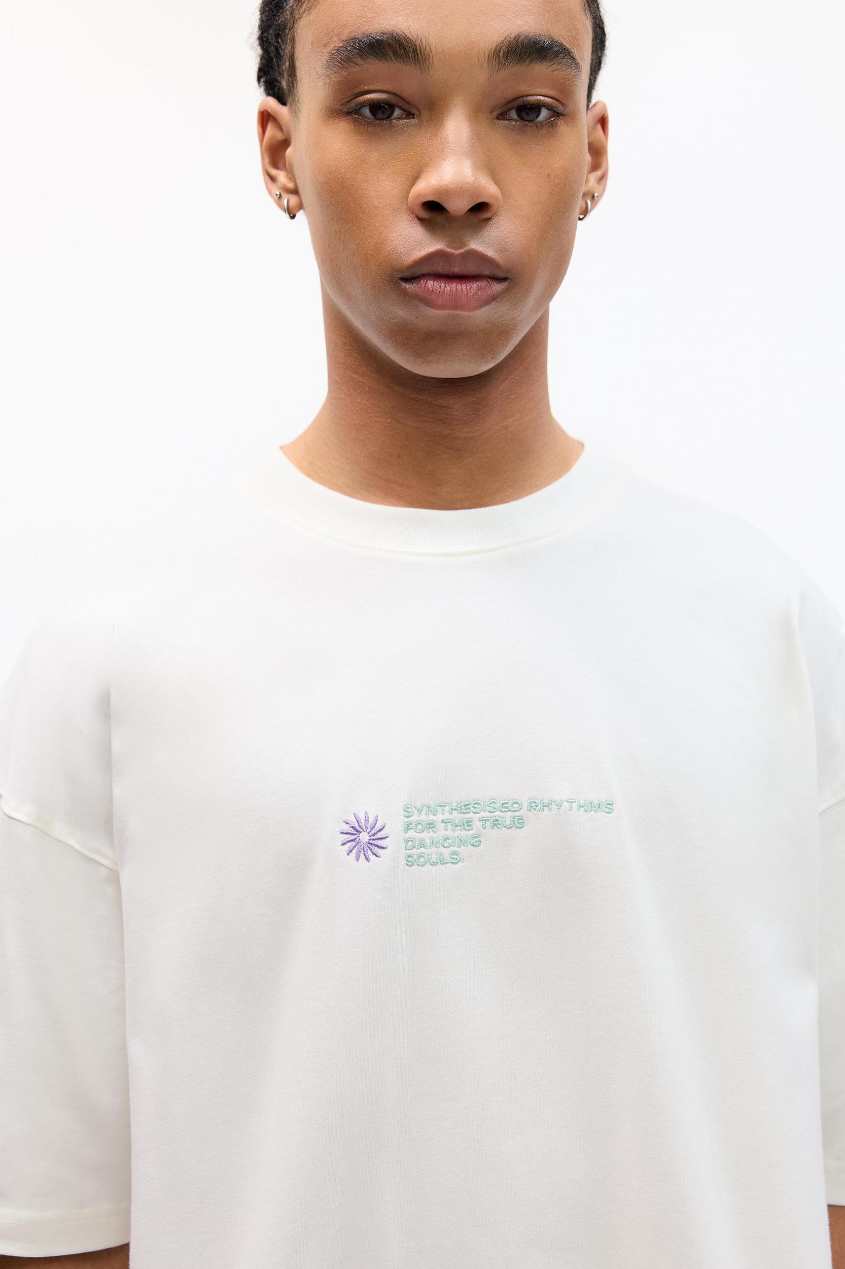 STWD T-shirt with contrast embroidery Product Image