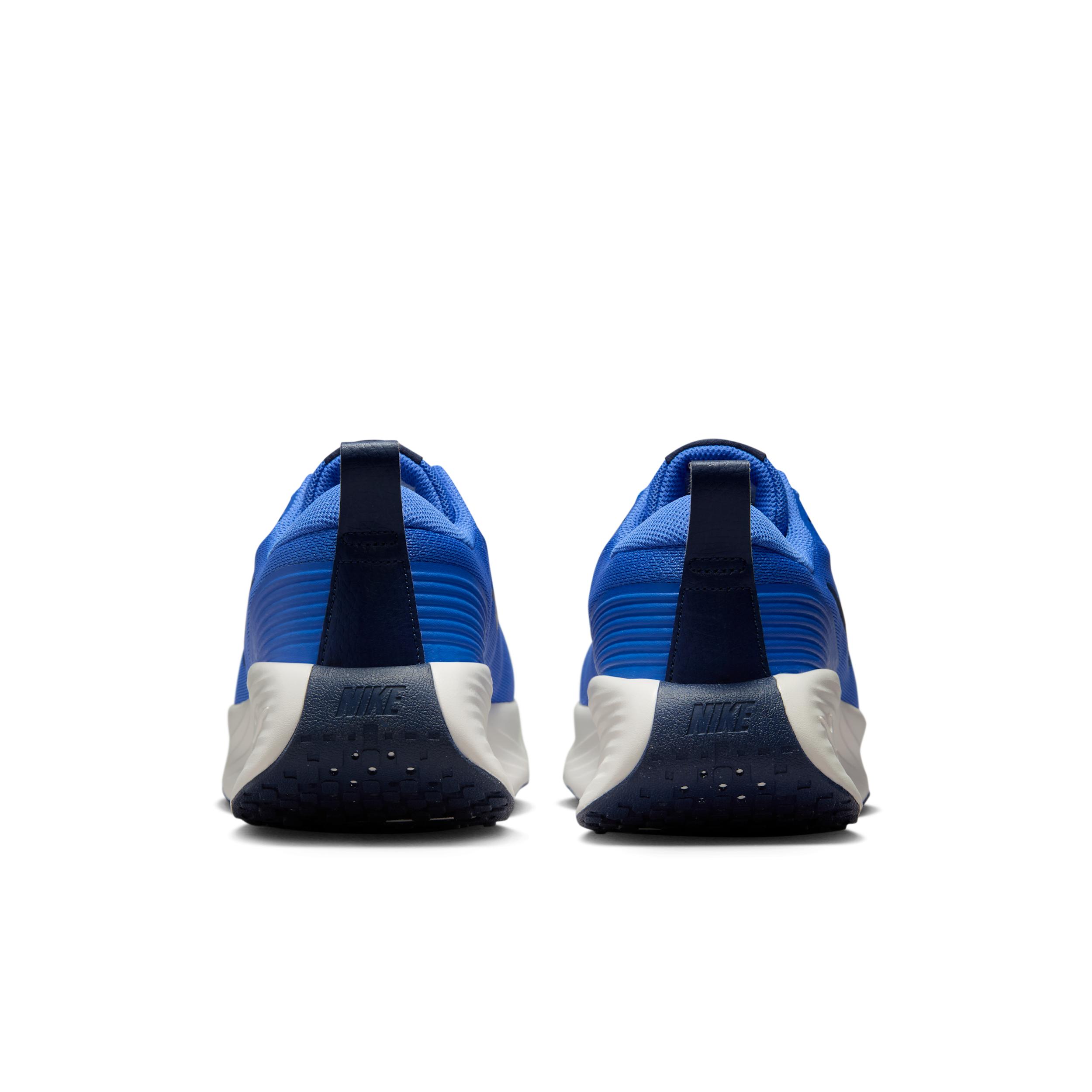 Nike Mens Promina Walking Shoes | FV5285-401 Product Image