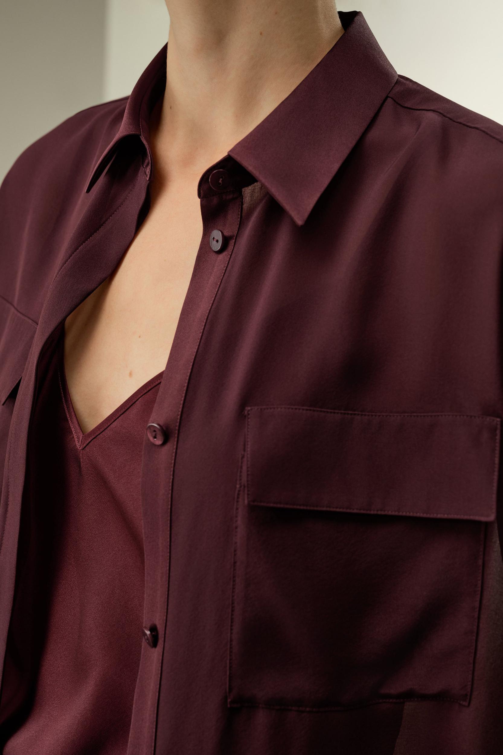 Semi-Sheer Silk Chiffon Blouse Product Image