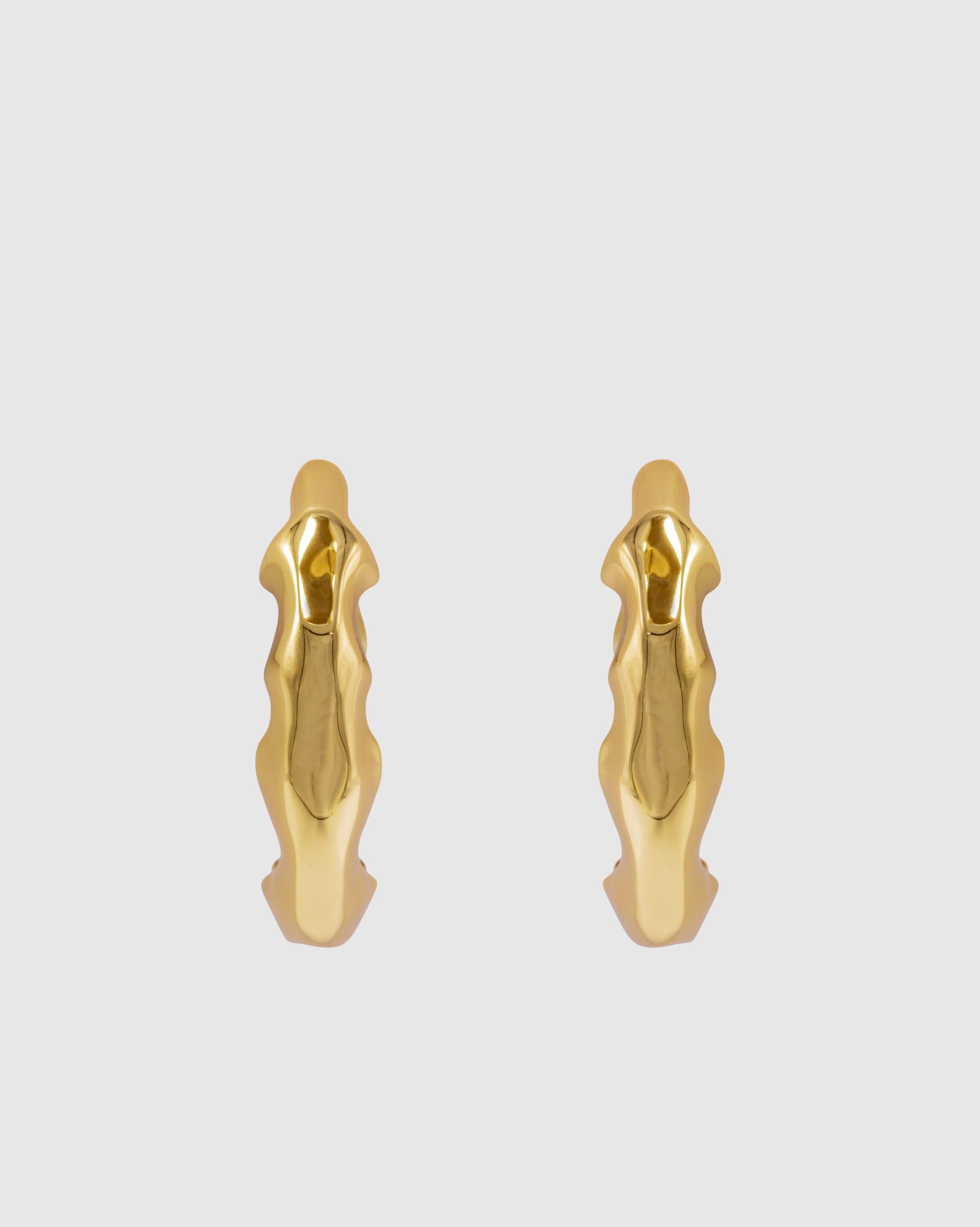 Las Hoop Earring Product Image