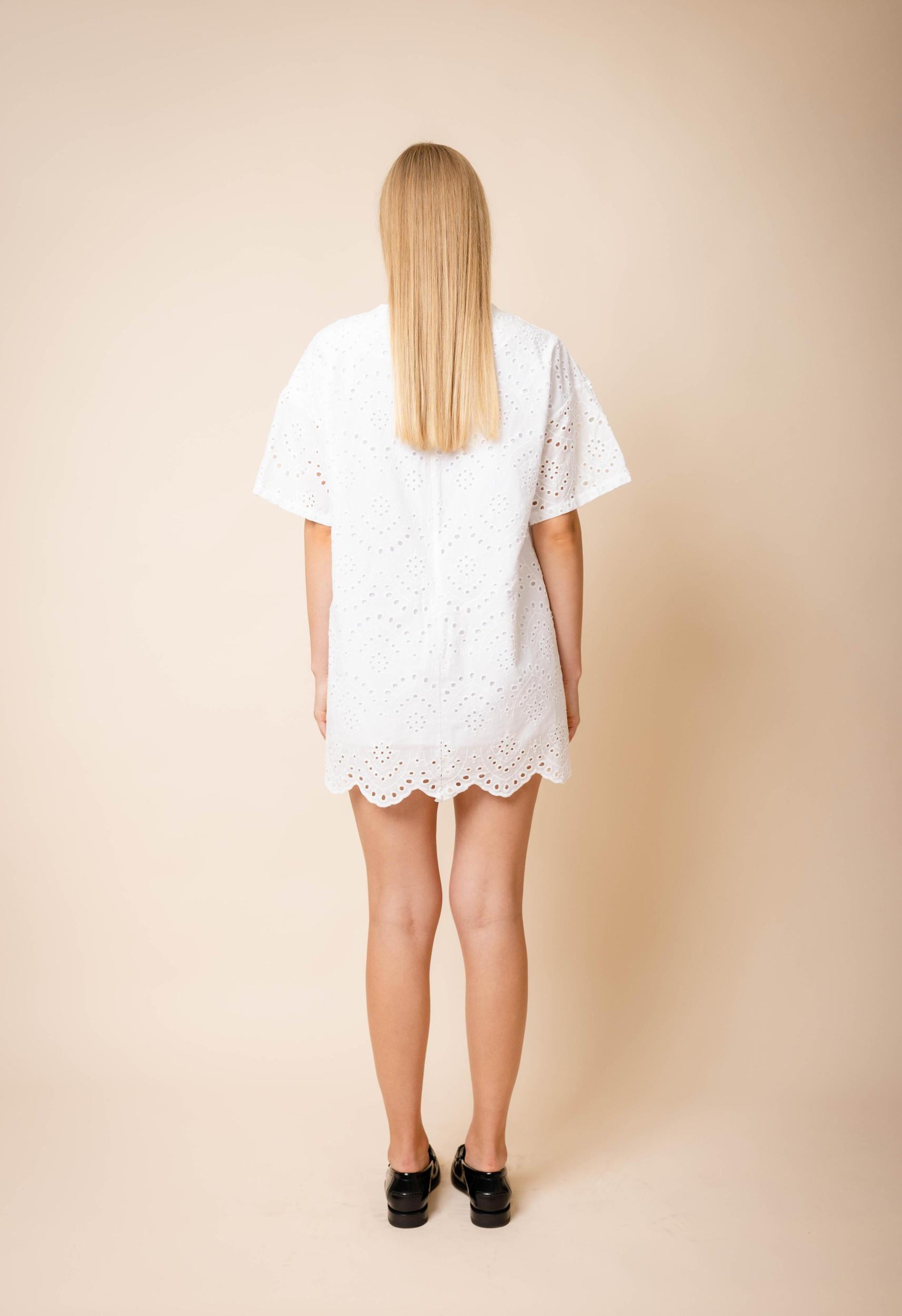 Eyelet Mini Dress In White Product Image