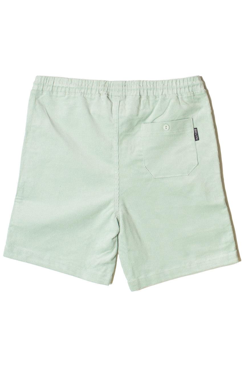 Velvet Corduroy Shorts Product Image