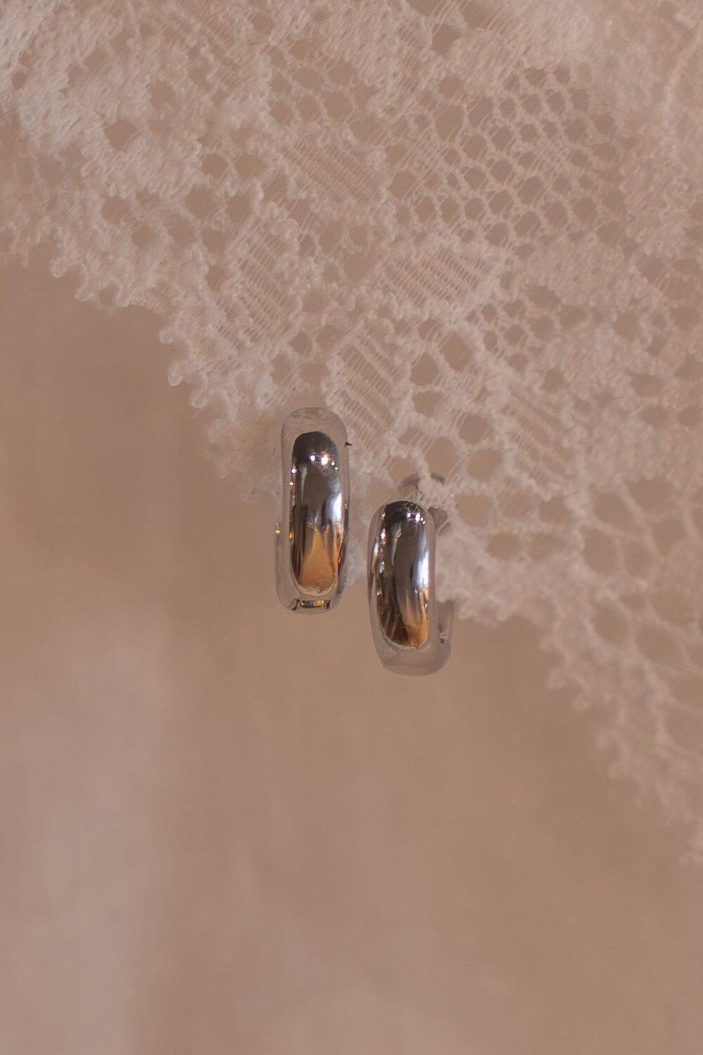 Hoop Earrings Product Image