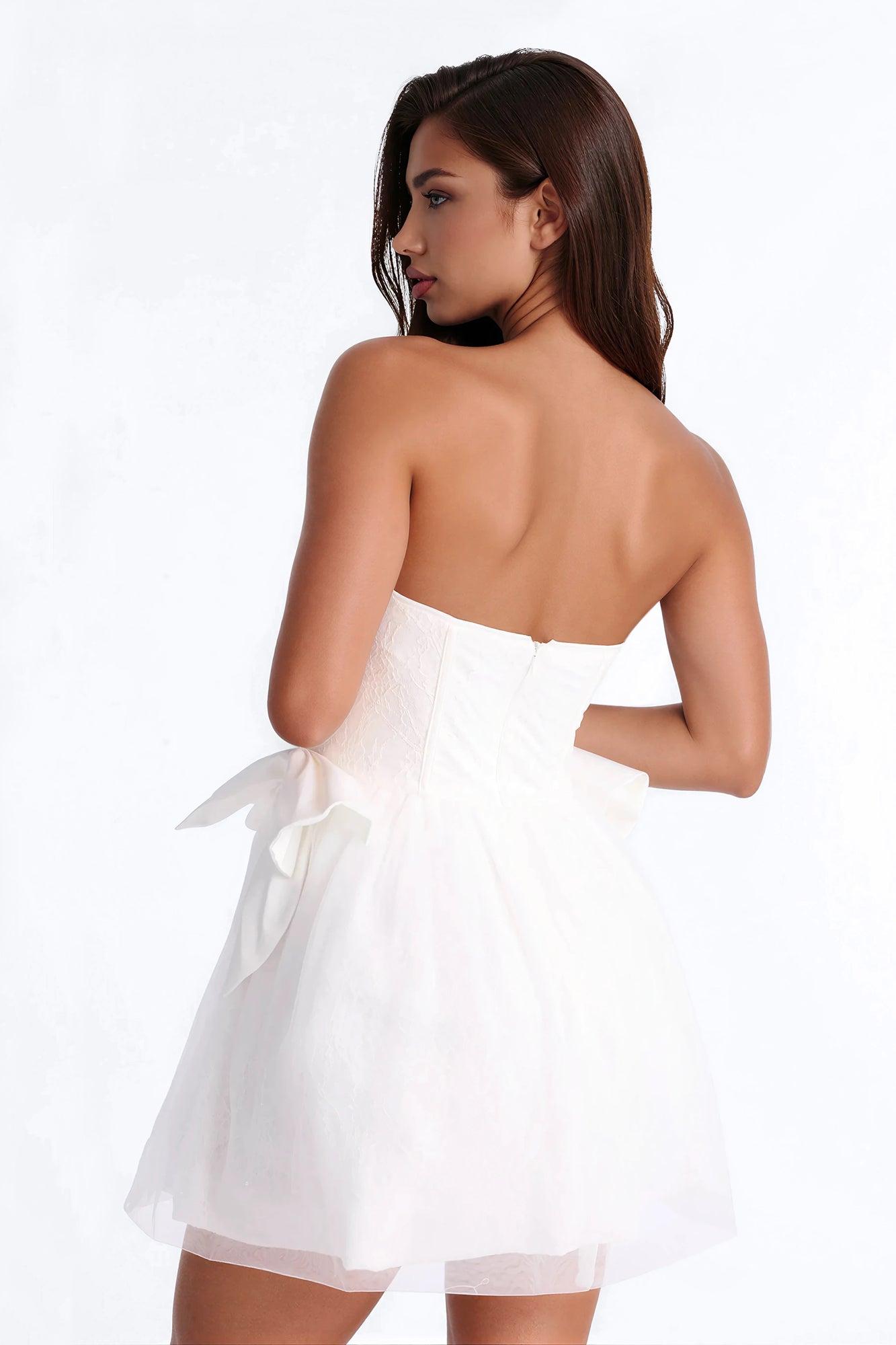 Rayna Embellished Lace Mini Dress - White Female Product Image