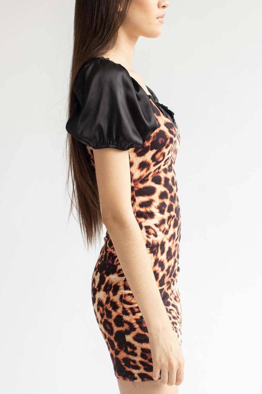 Leopard Print Mini Dress Product Image