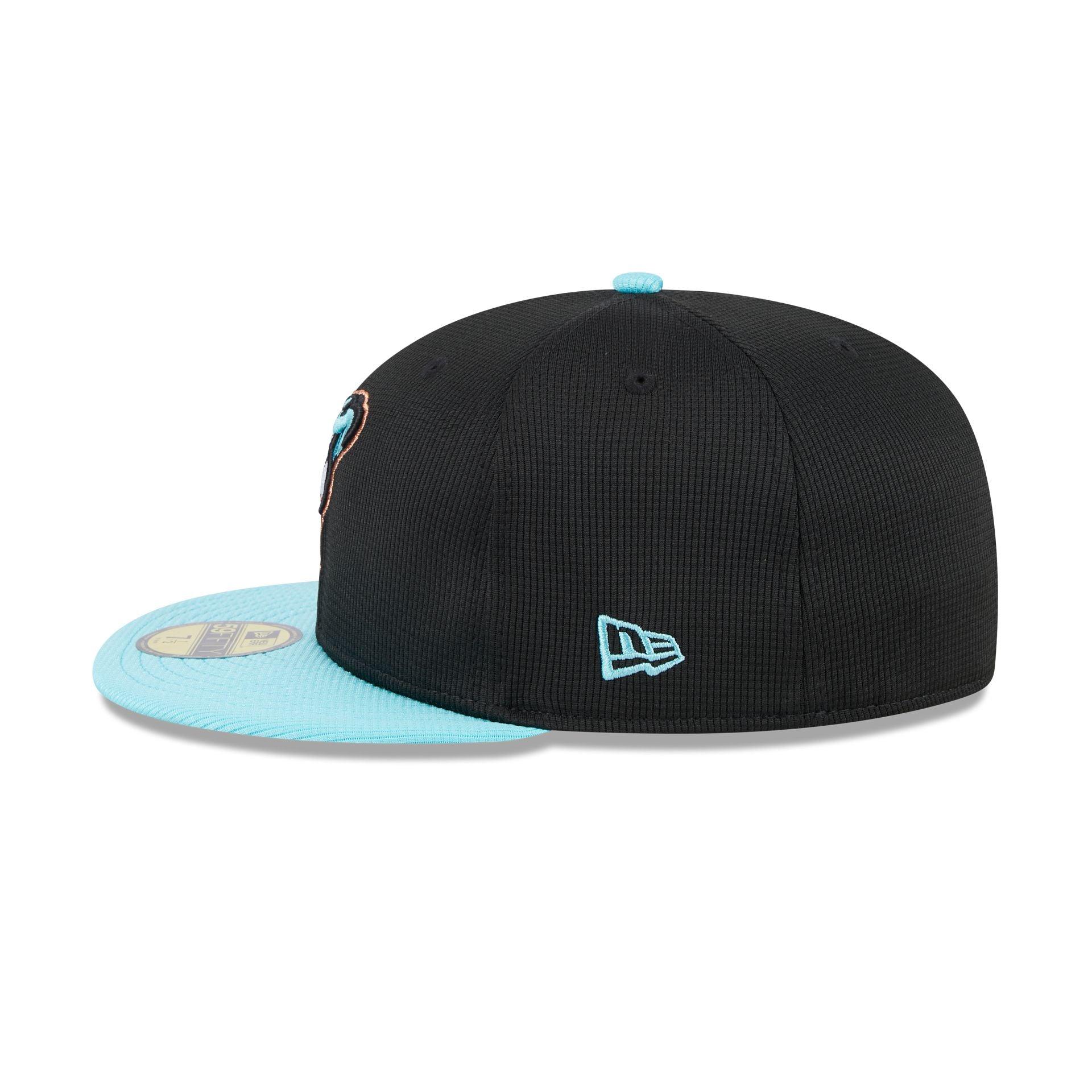 Arizona Diamondbacks 2025 Batting Practice 59FIFTY Fitted Male Product Image