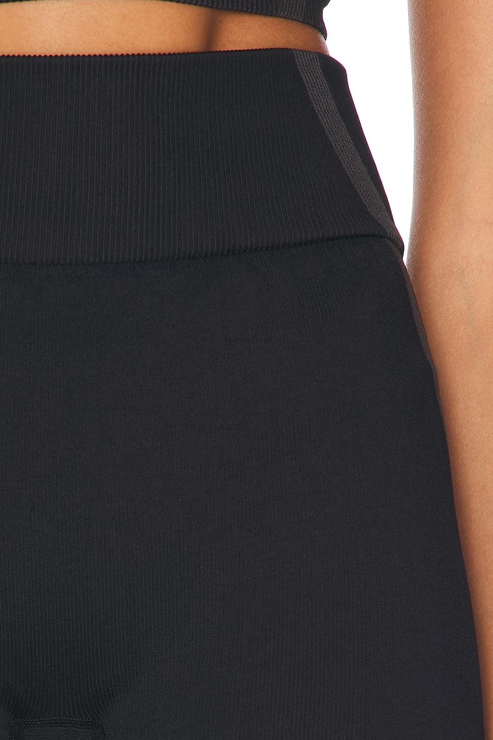 Studio Knit Shorts Product Image