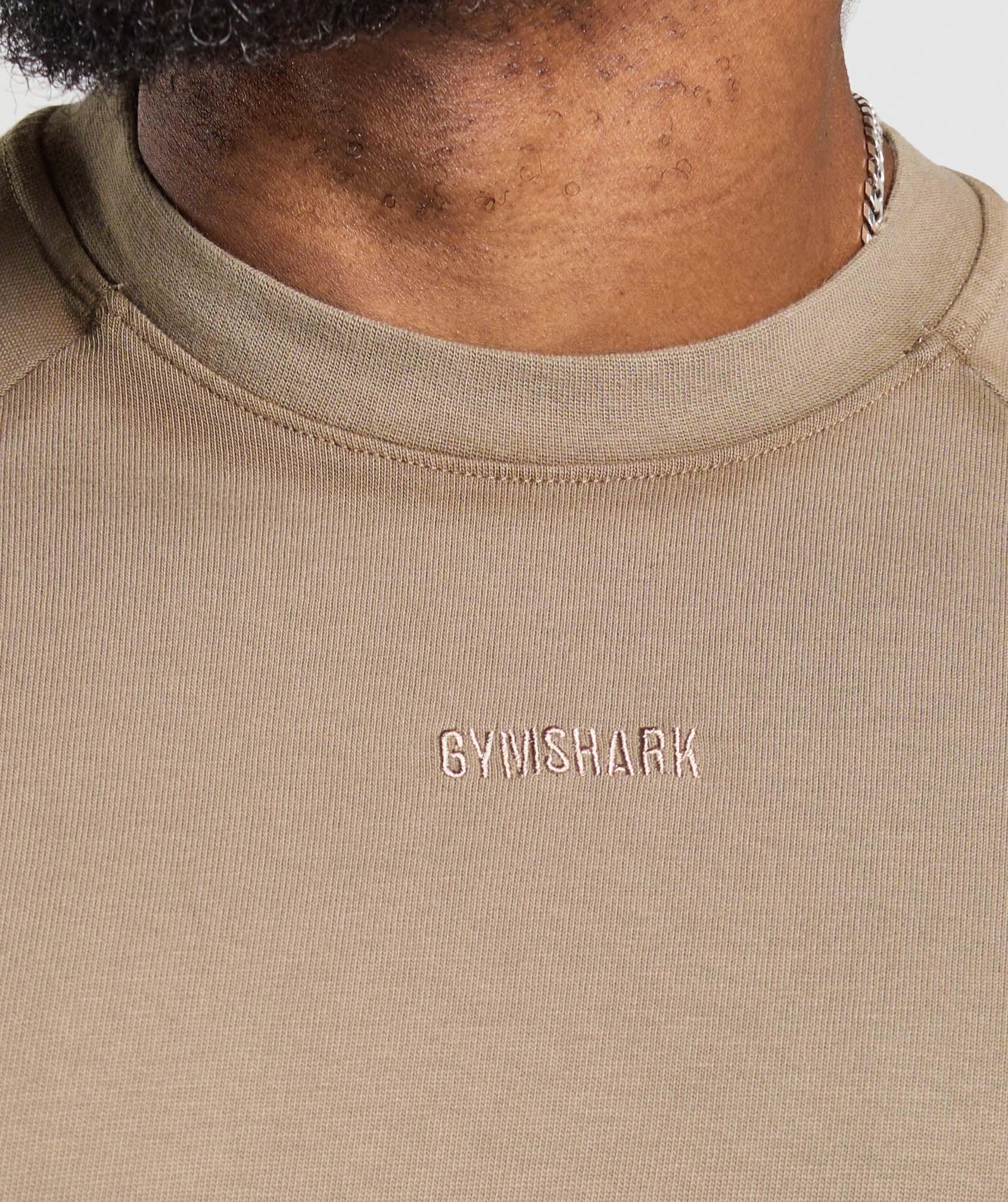 Gymshark Heavyweight T-Shirt - Lifestyle Brown Male Product Image