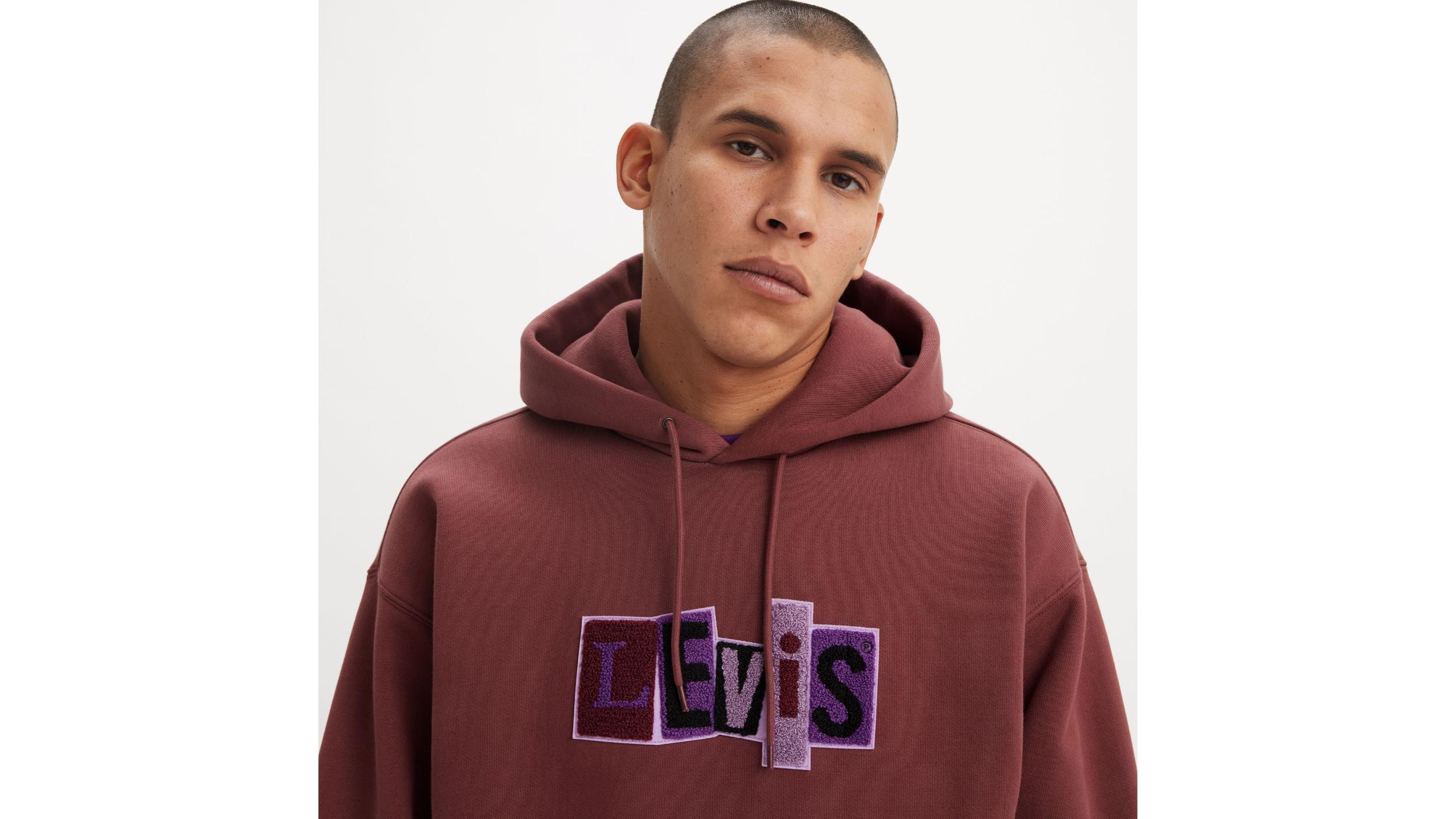 Levi's® Skateboarding™ Hooded Sweatshirt Product Image