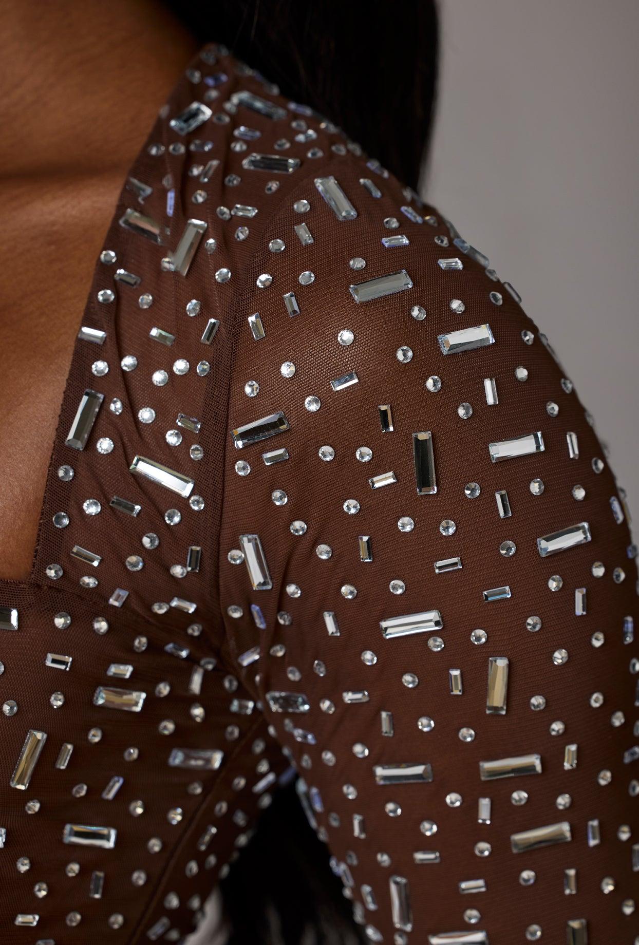 Sheer Embellished Long Sleeve Crop Top in Deep Cocoa Product Image