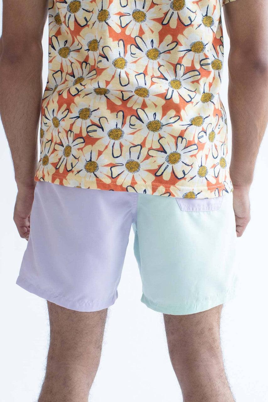 Pastel Purple & Mint Color Blocked Swim Shorts Product Image