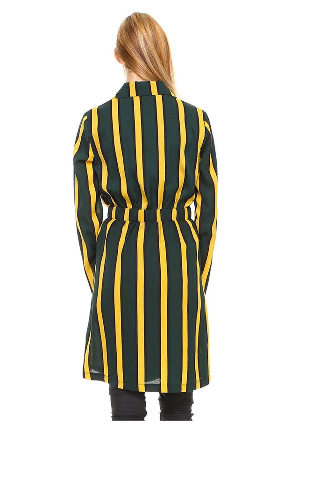 Trench Coat Multi Stripe Long Line Belted Jacket Product Image