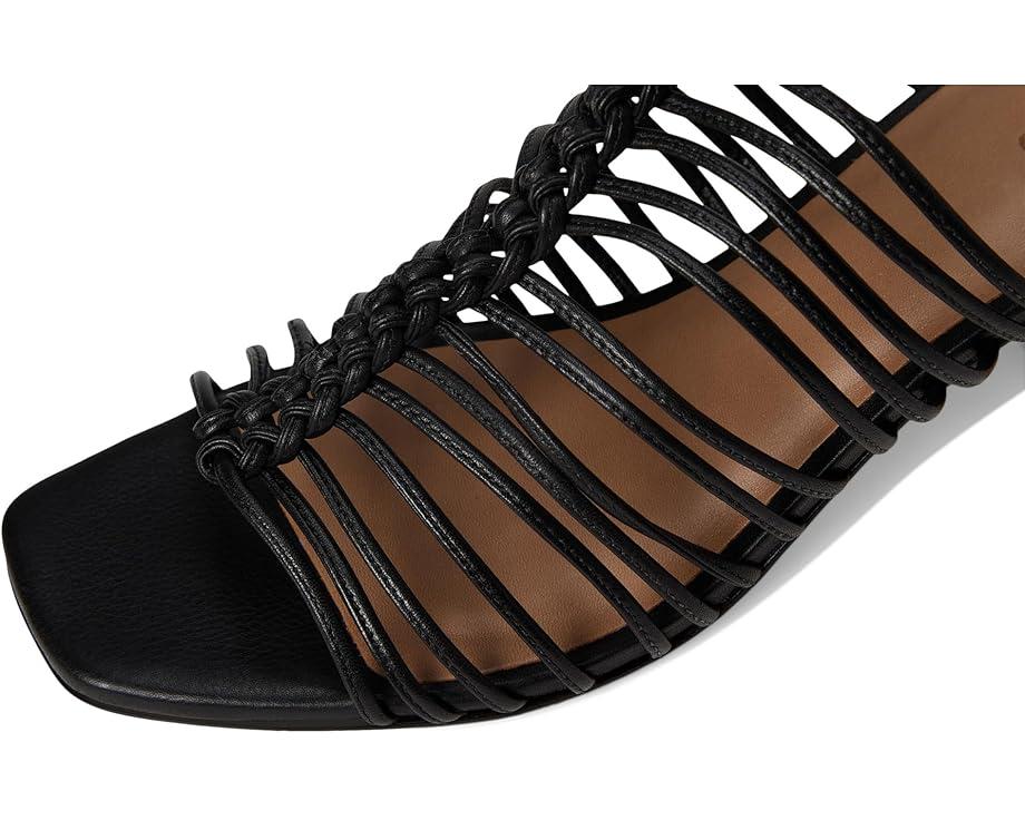 Women's Bernardo Briga Product Image