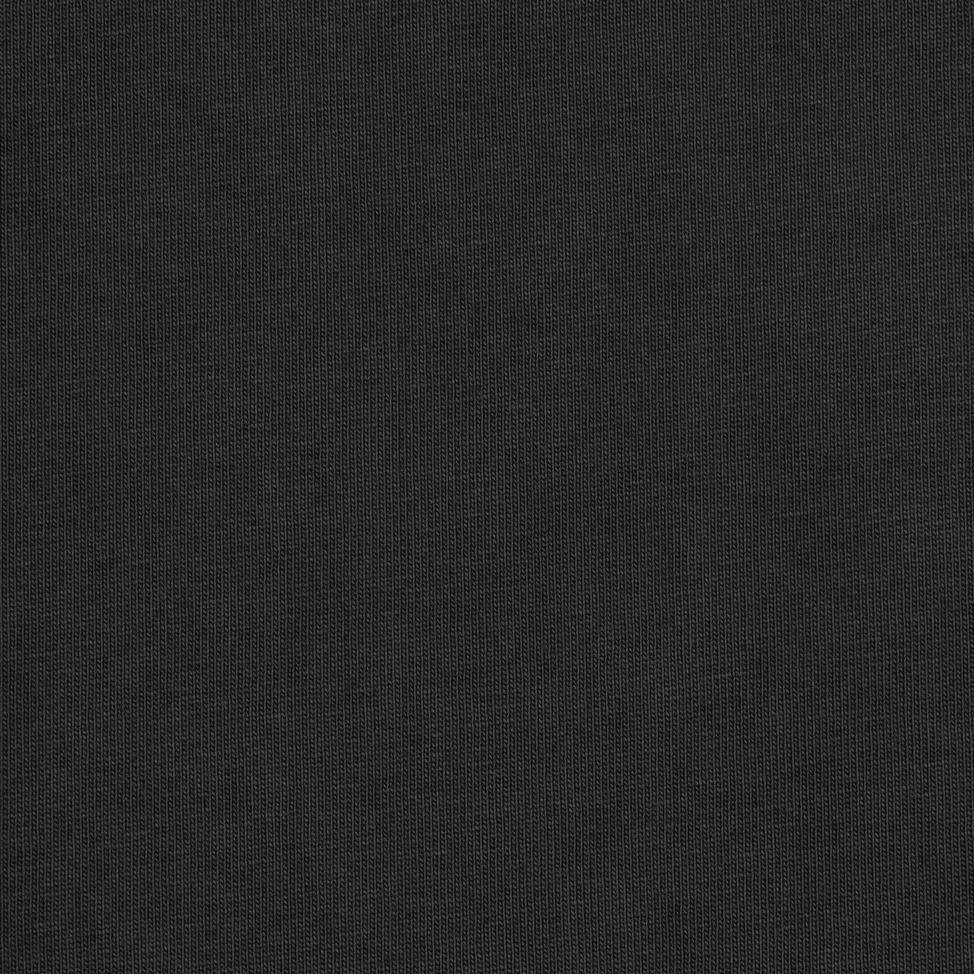 NEW VINTAGE CROPPED LONG SLEEVE T-SHIRT | WASHED ONYX Product Image