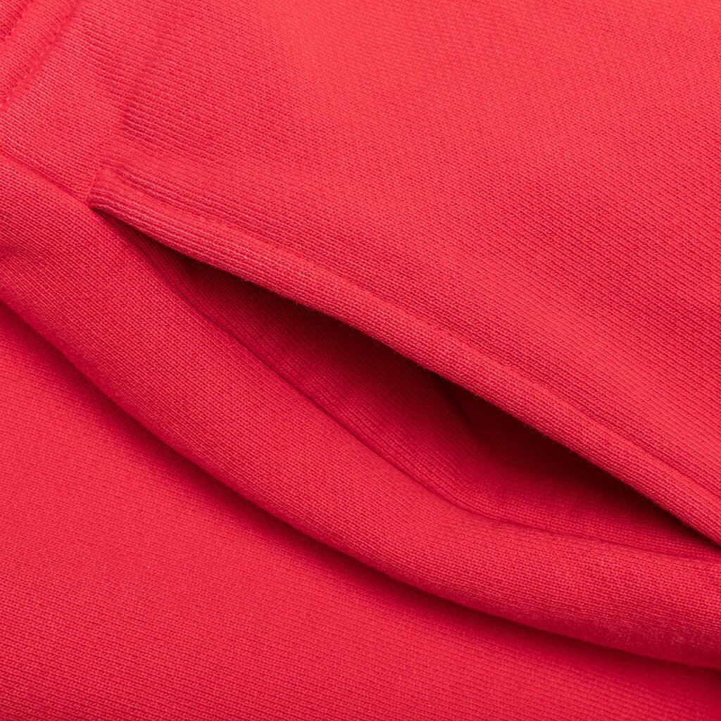 Team Sweatpant - Red Male Product Image