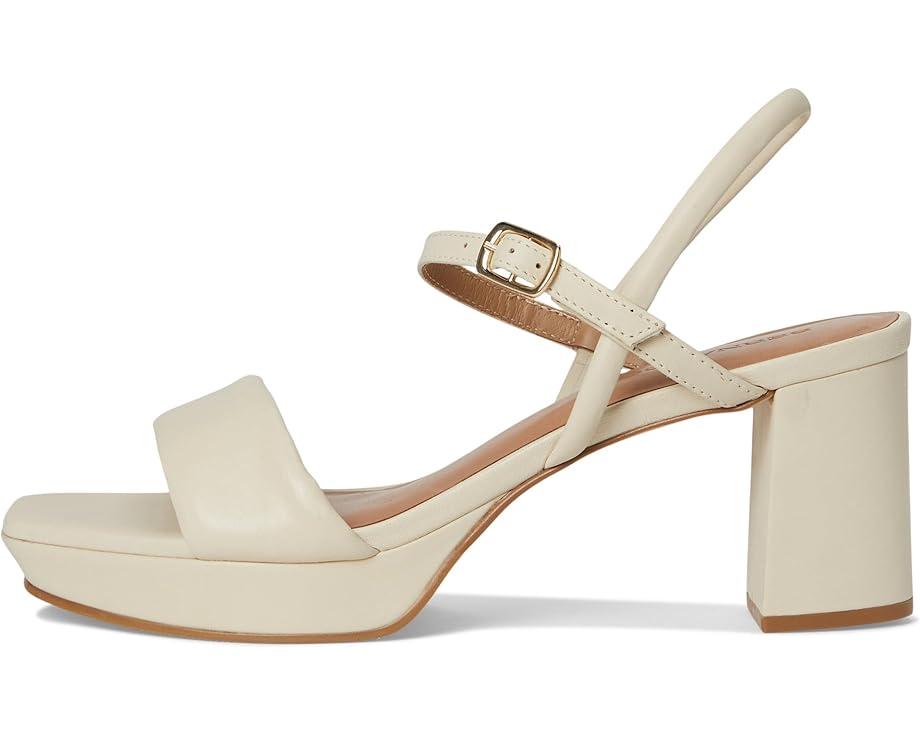 Dayna Platform 80 Product Image