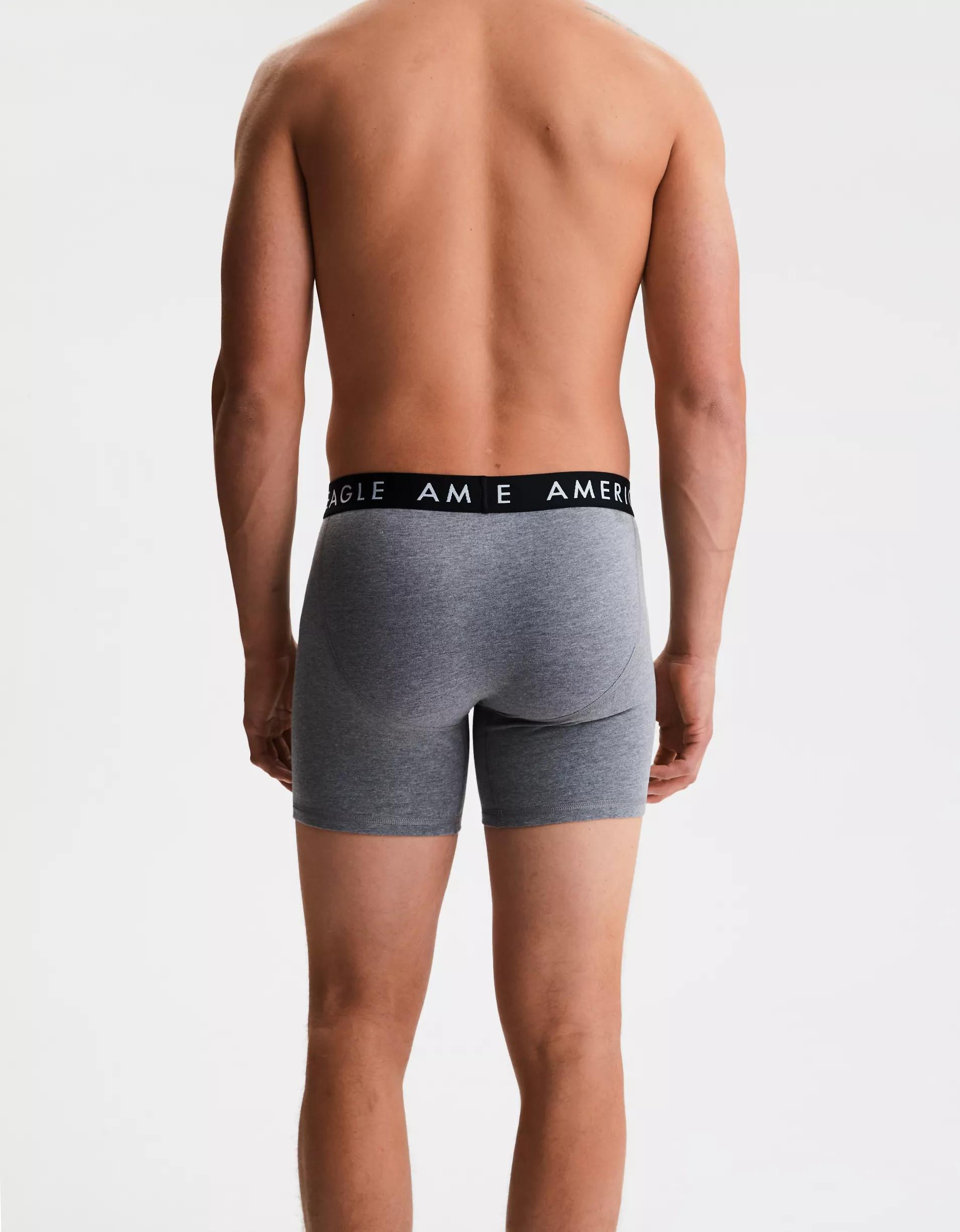 AEO Men's Mushrooms 6" Classic Boxer Brief Product Image