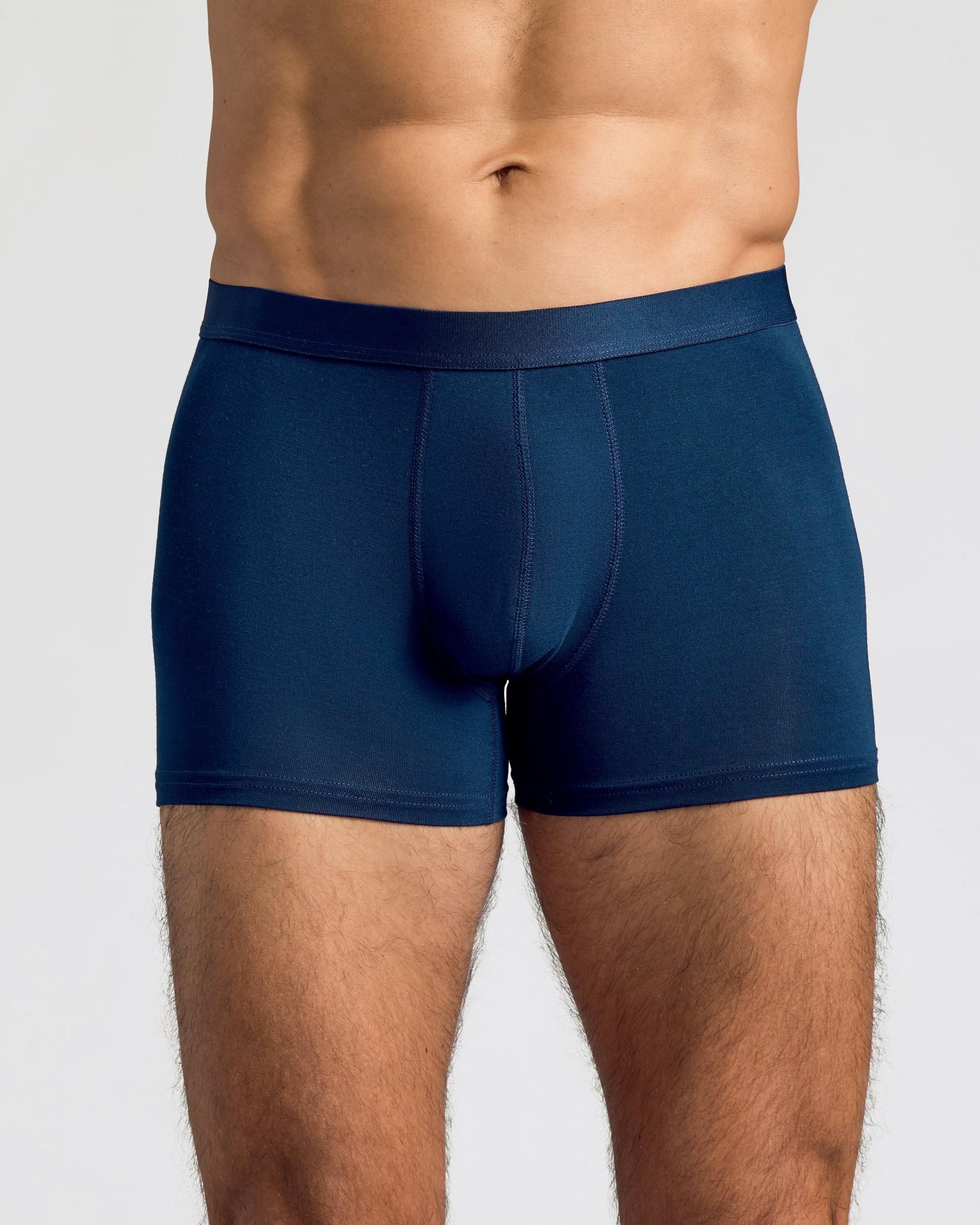 Carbon Boxer Trunks 3-Pack Product Image