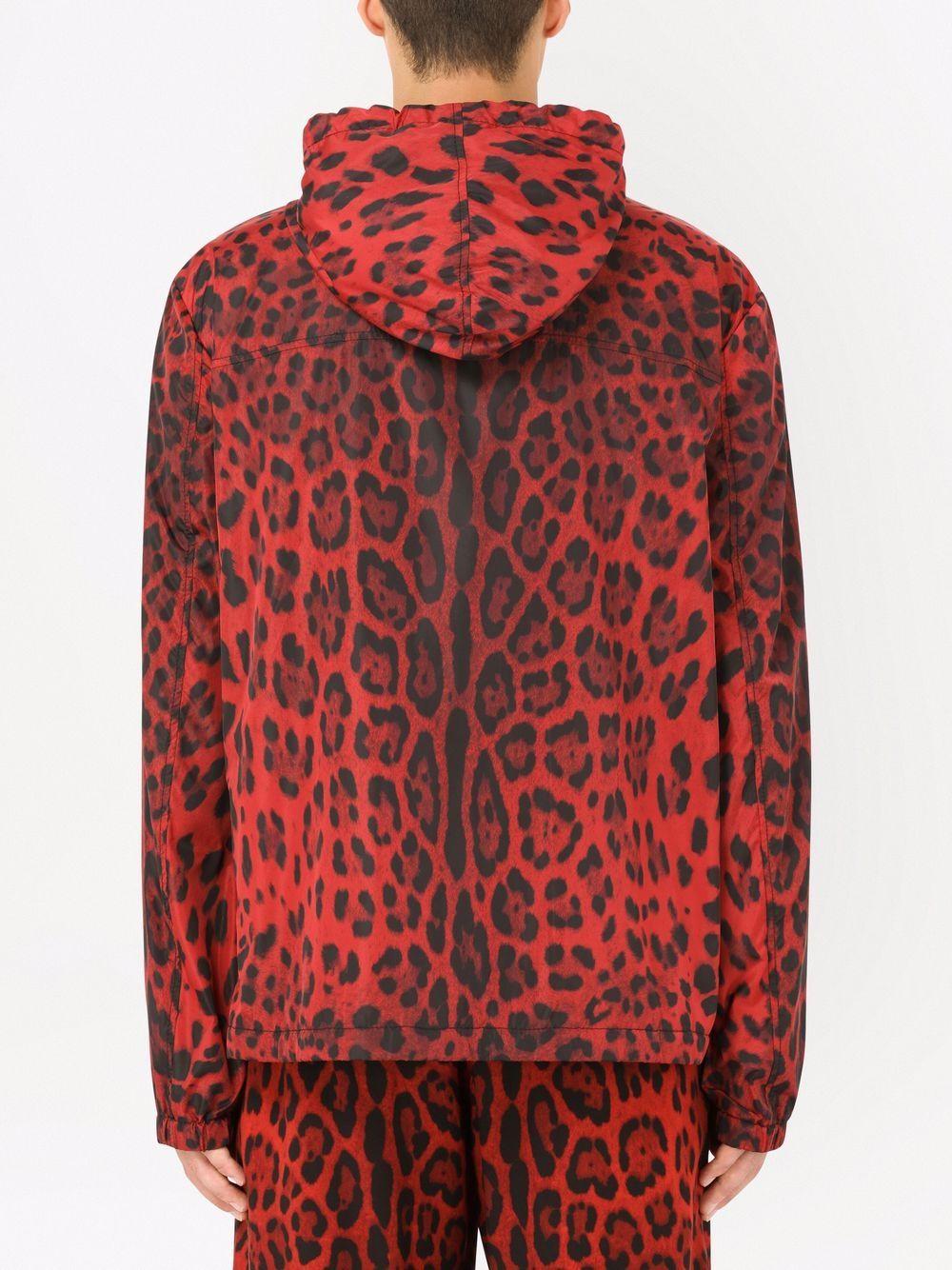 DOLCE & GABBANA Jacket With Animal Print In Multi Product Image