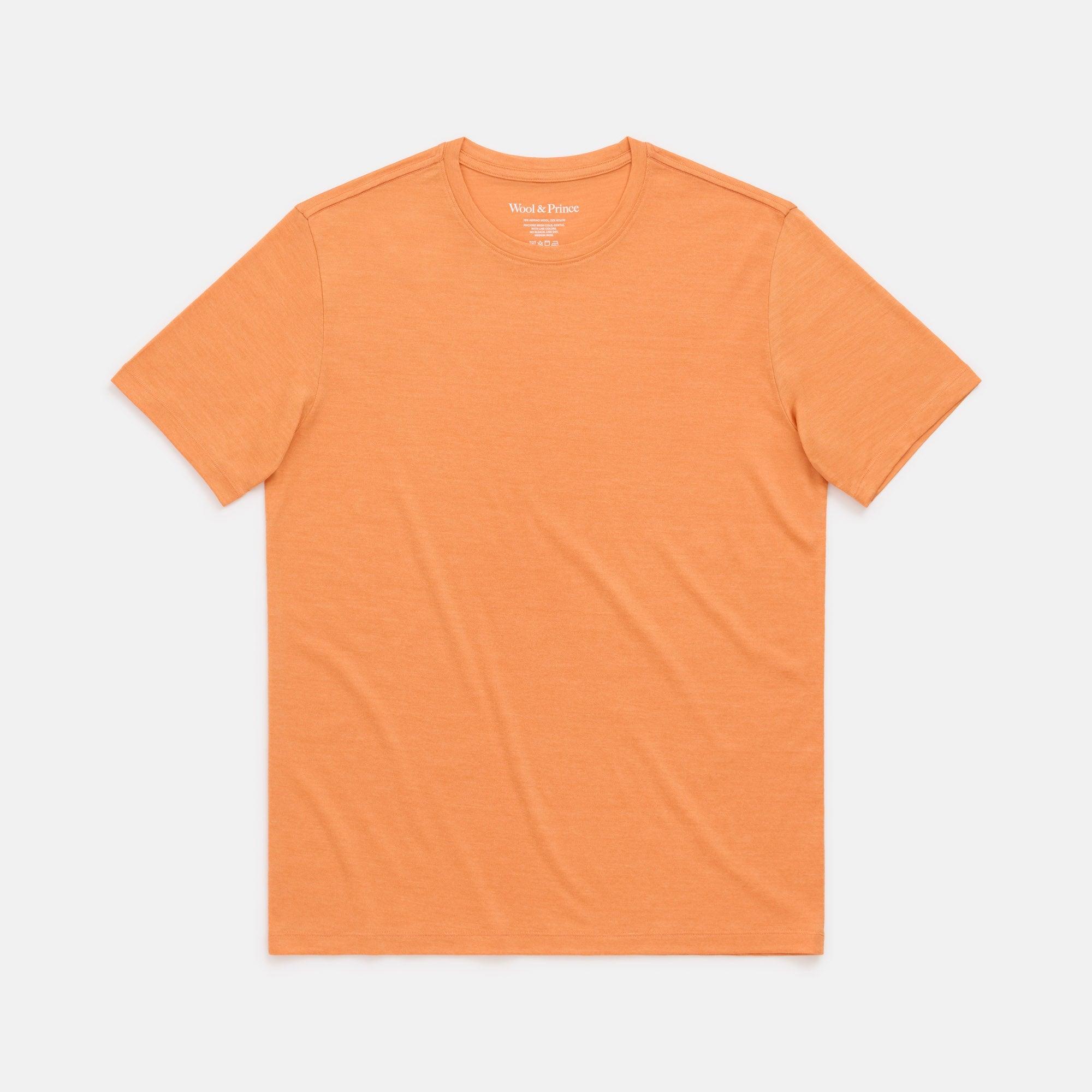 Merino Wool Crew Neck T-Shirt | Pacific Product Image