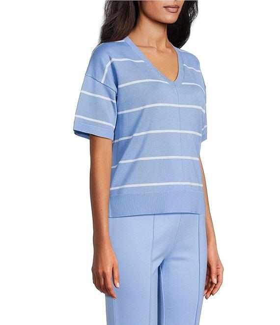 Investments Striped 3/4 Sleeve V-Neck Ribbed Trim Sweater Product Image