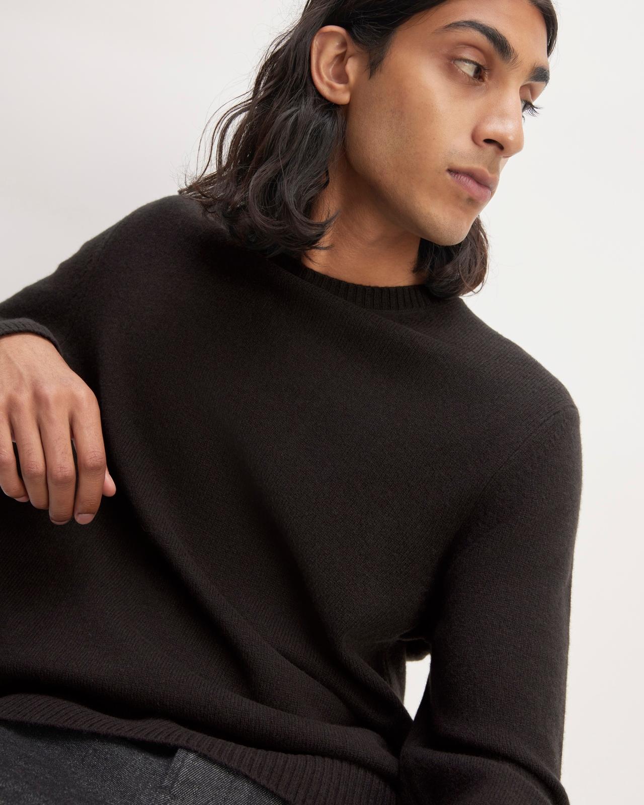 Mens Premium Merino Crew Neck Sweater by Everlane Product Image