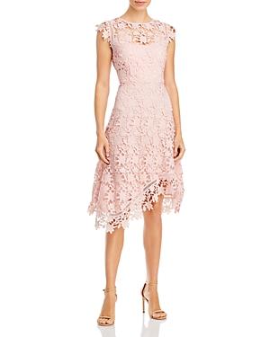 Eliza J Asymmetric Lace Dress Product Image