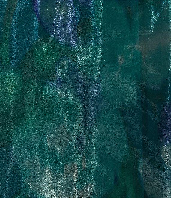 R & M Richards Plus Size Floral V-Neck Sleeveless Organza A-Line Gown Product Image