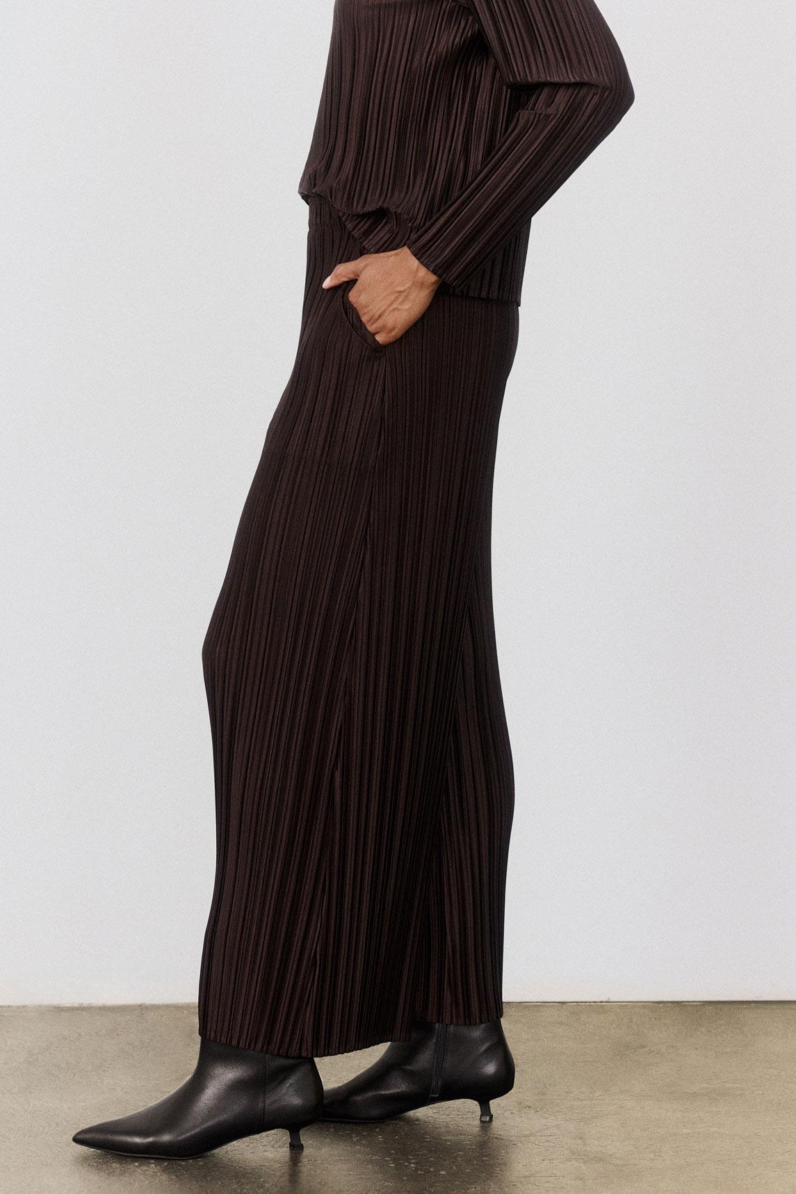 Relaxed Pleated Pants Product Image