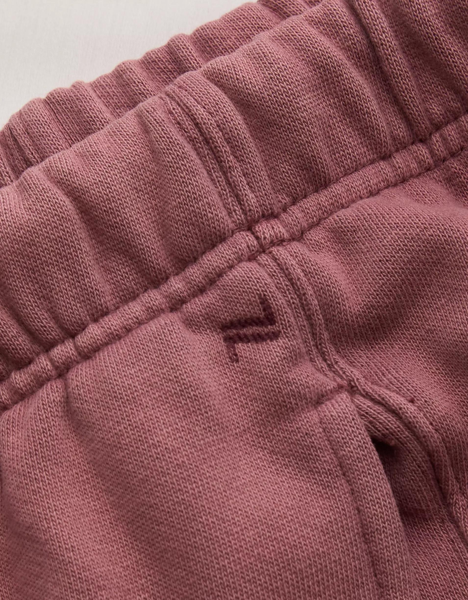 AE77 Premium Fleece Jogger Product Image