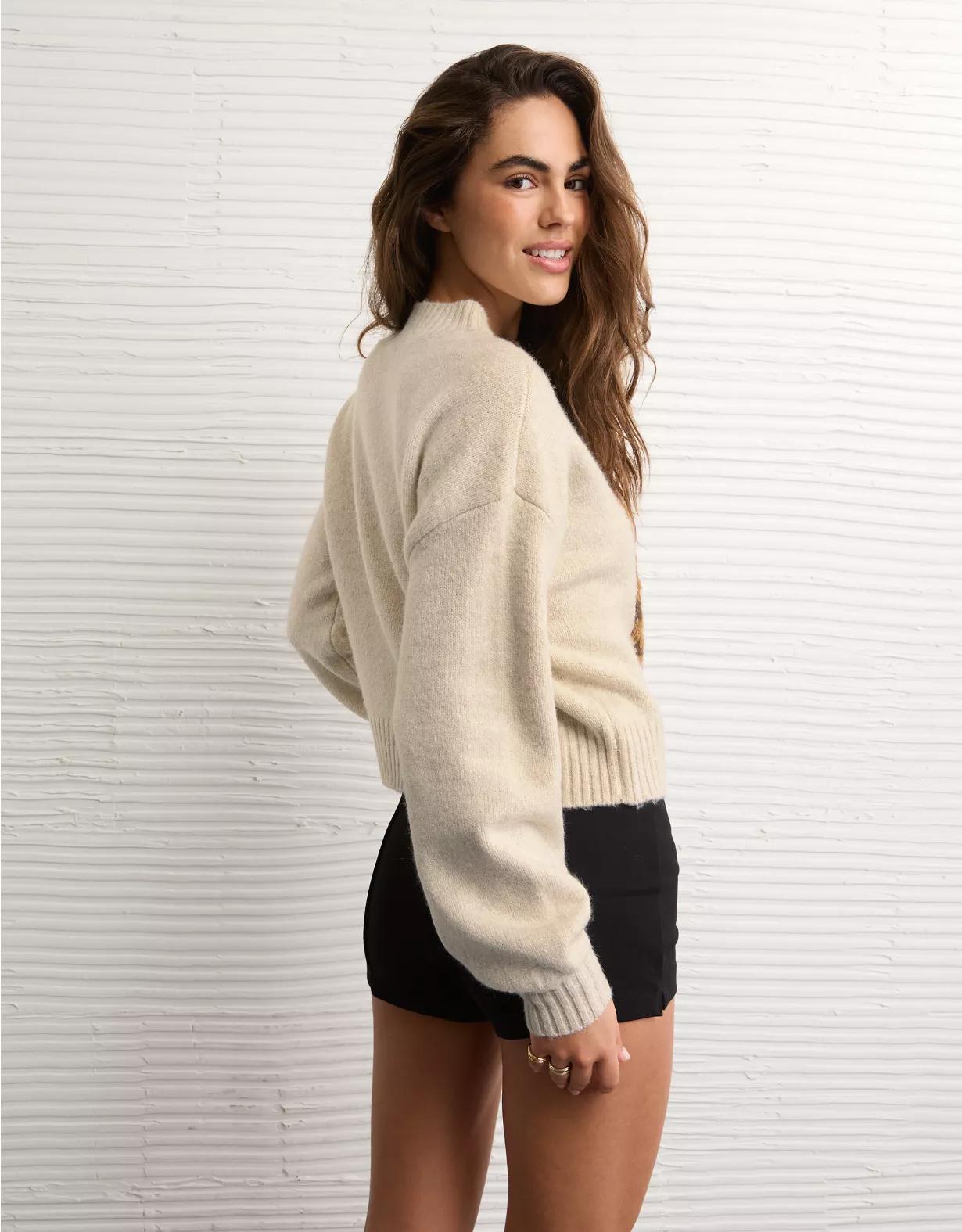 AE Snow Stopper Sweater Product Image