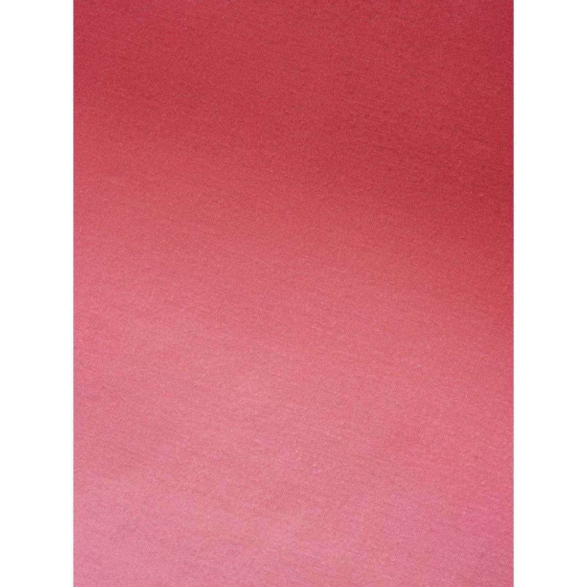 Plus Size Crew Neck Ombre Sweatshirt Women Multicolor Casual Non Round Neck Everyday Sweatshirts BloomChic 30/6X Product Image