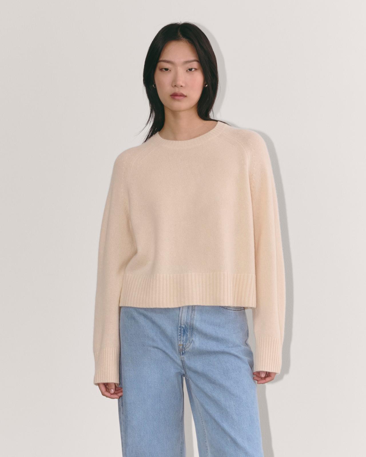 Womens Boxy Crew in Cashmere Sweater by Everlane Product Image