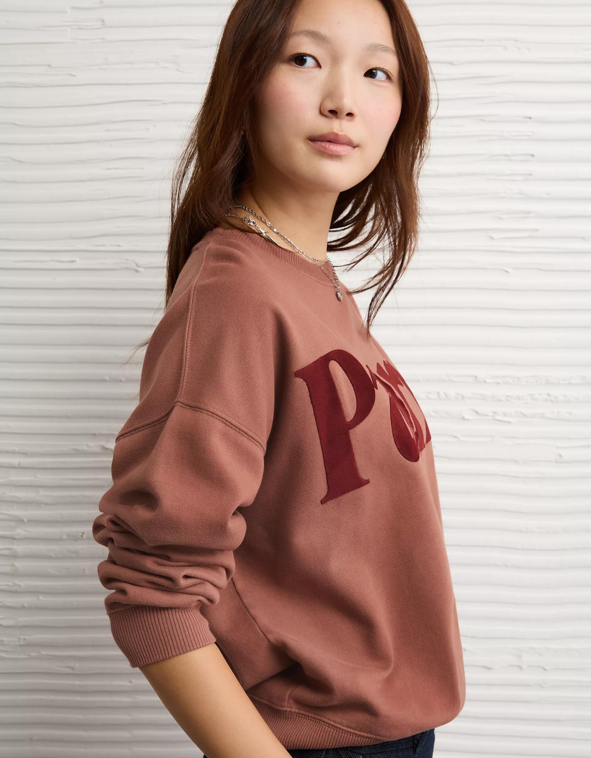 AE Velvet Graphic Crew Neck Sweatshirt Product Image
