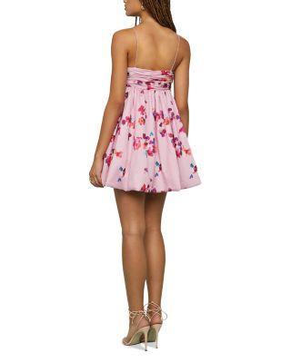 Kimberly Mini Dress Product Image