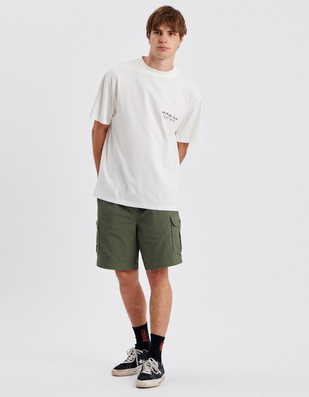 THE CRITICAL SLIDE SOCIETY Flat Out Mens Tee - WHITE Product Image
