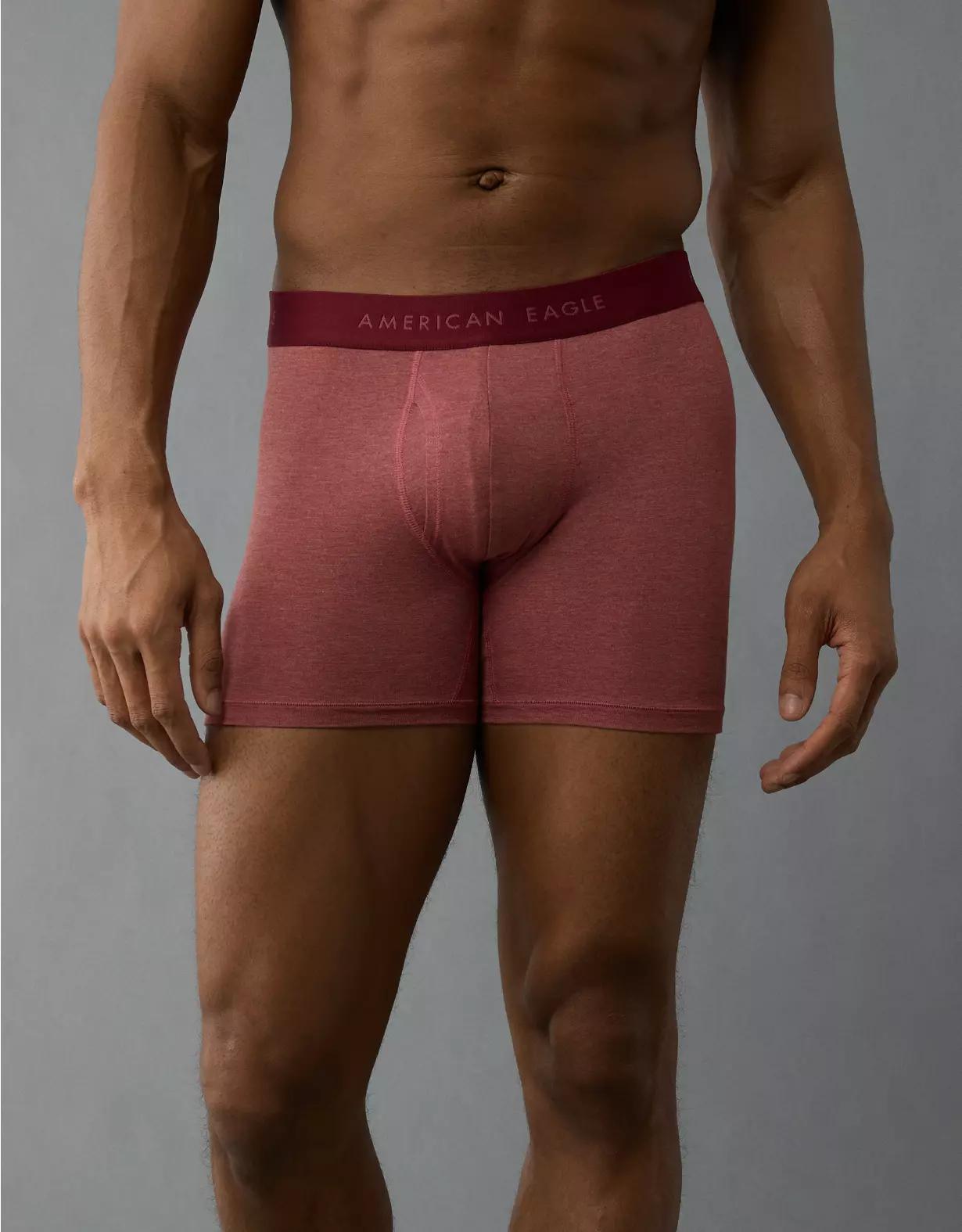 AEO Men's 4.5" Classic Boxer Brief Product Image