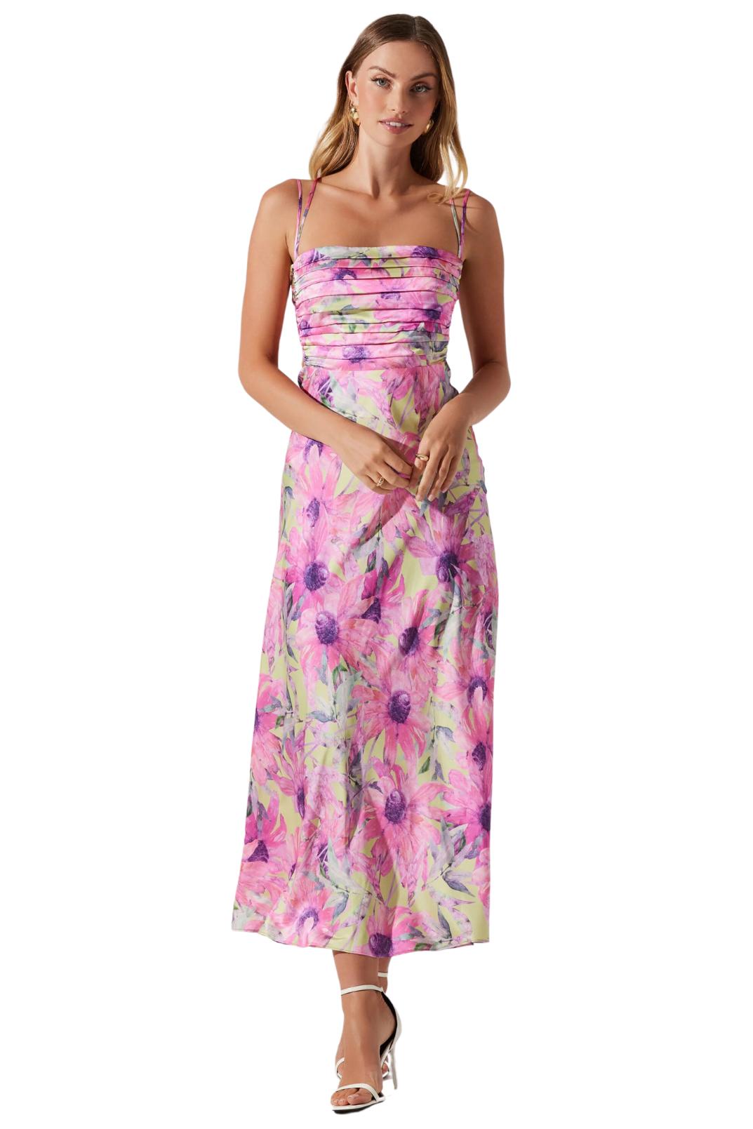 Antlia Dress Product Image