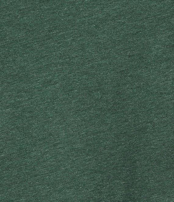 Roundtree & Yorke Big & Tall Solid Cloud Short Sleeve V-Neck T-Shirt Product Image