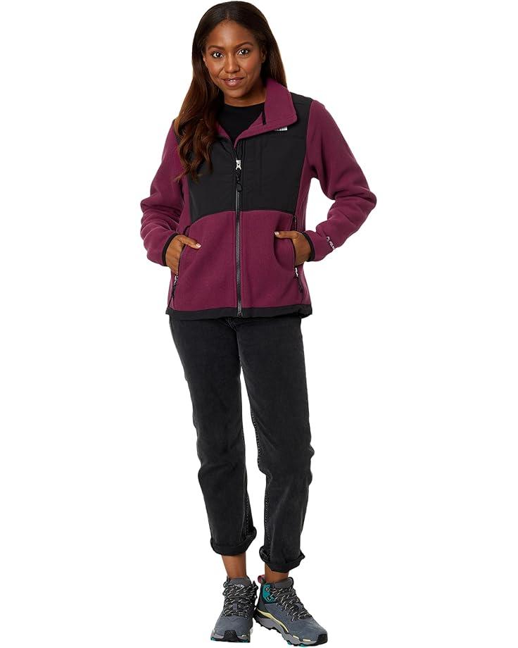 Retro Denali Hoodie Product Image