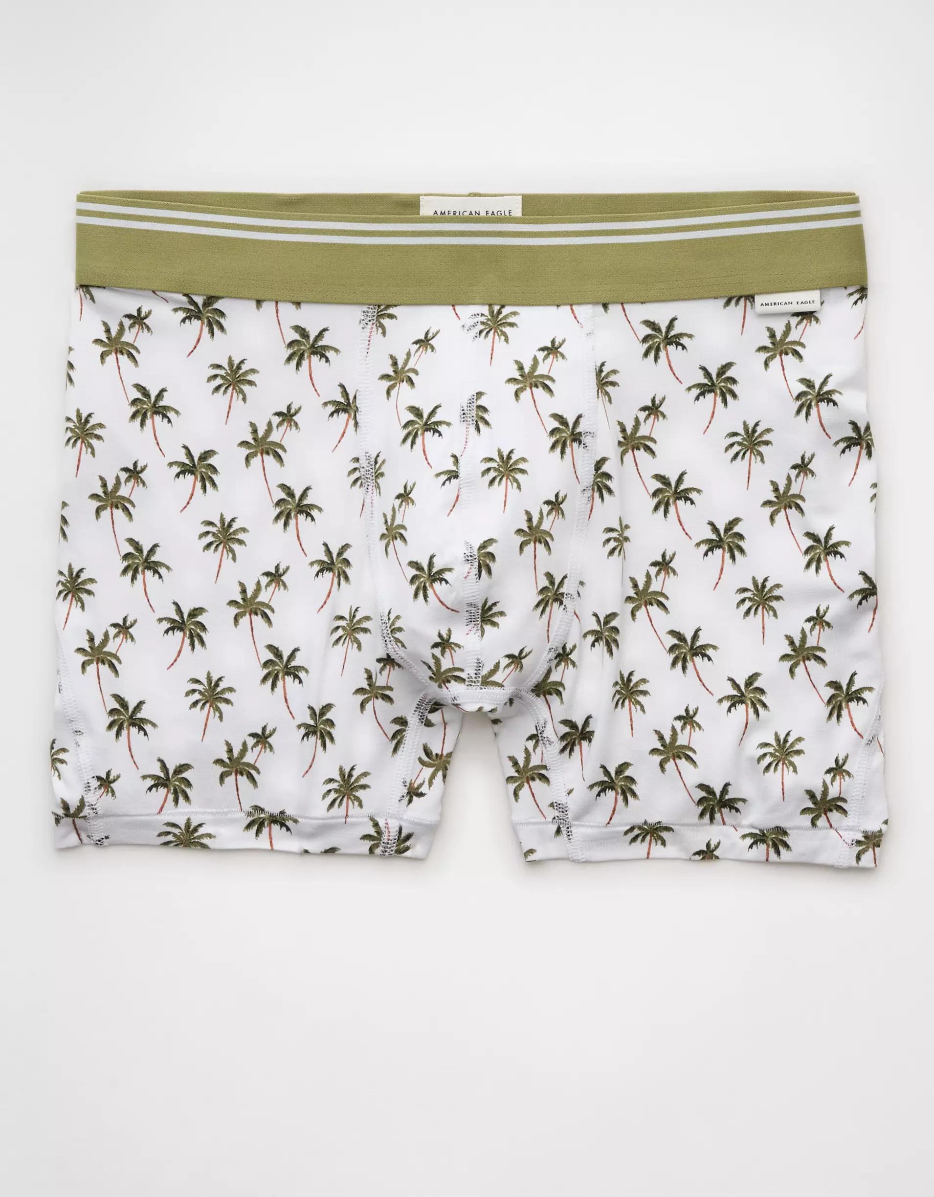 AEO Men's Bandana 4.5" Ultra Soft Boxer Brief Product Image