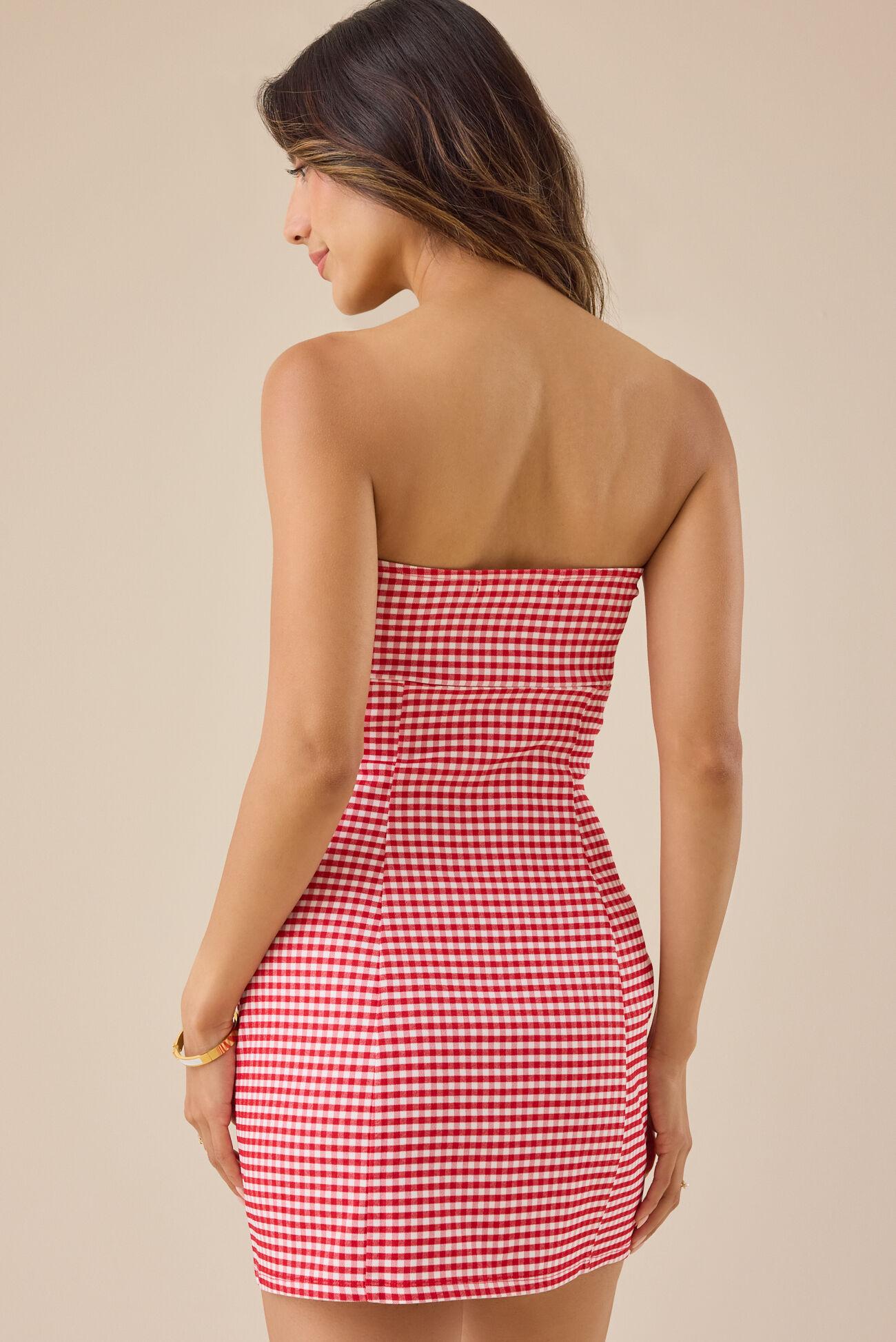 Ruby Gingham Mini Dress Product Image